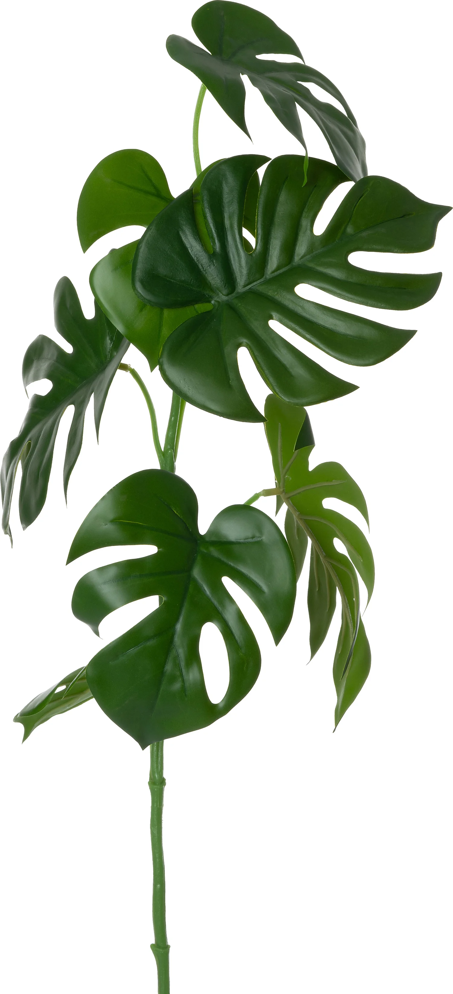 Intratuin kunsttak Monstera 70 cm
