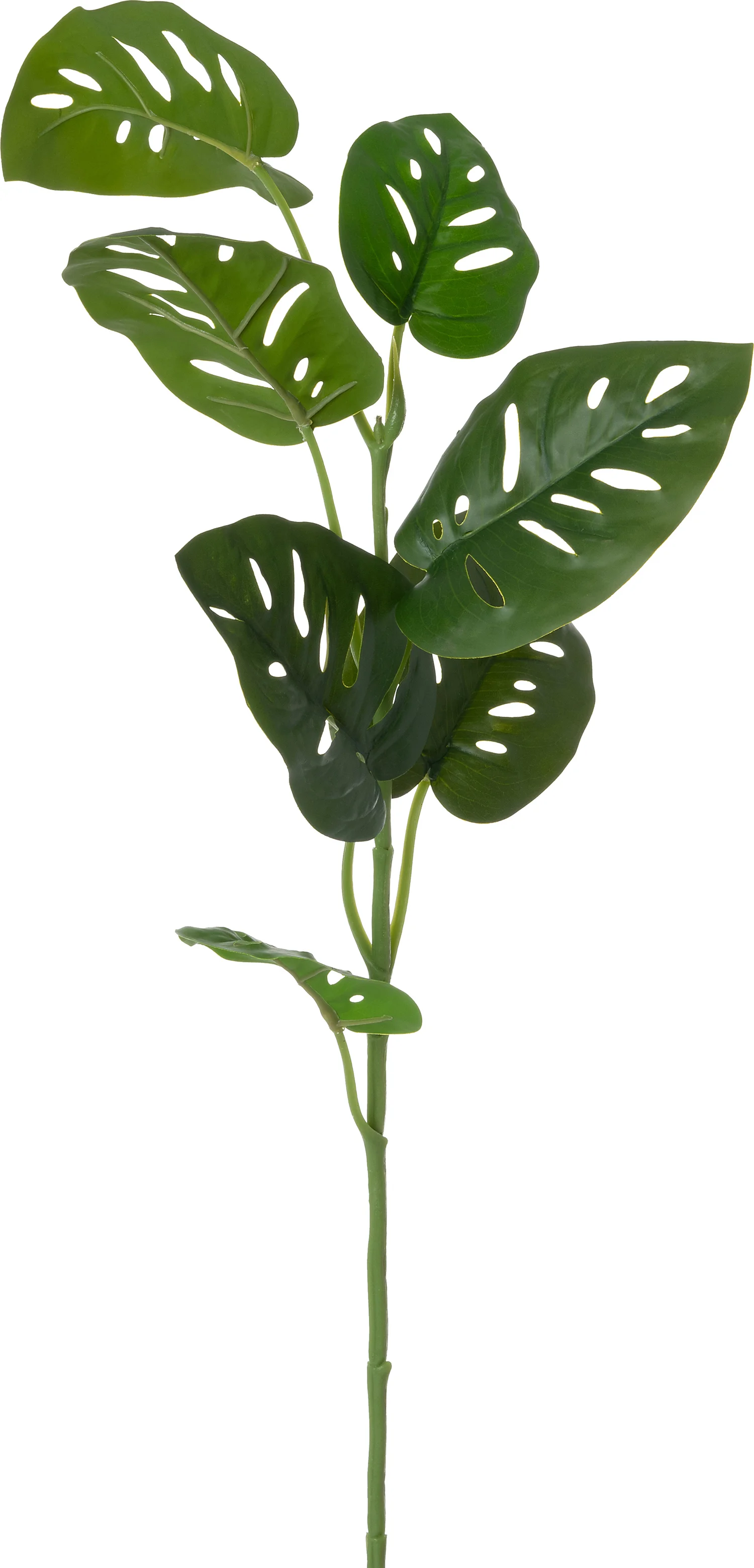 Intratuin kunsttak Monstera 80 cm