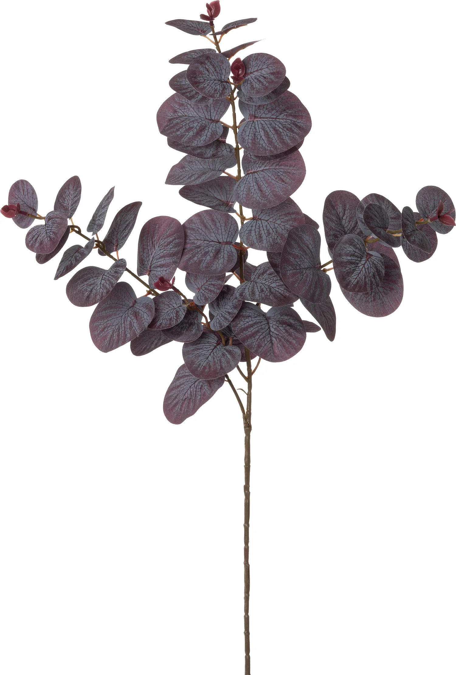 Intratuin kunsttak Eucalyptus paars 80 cm