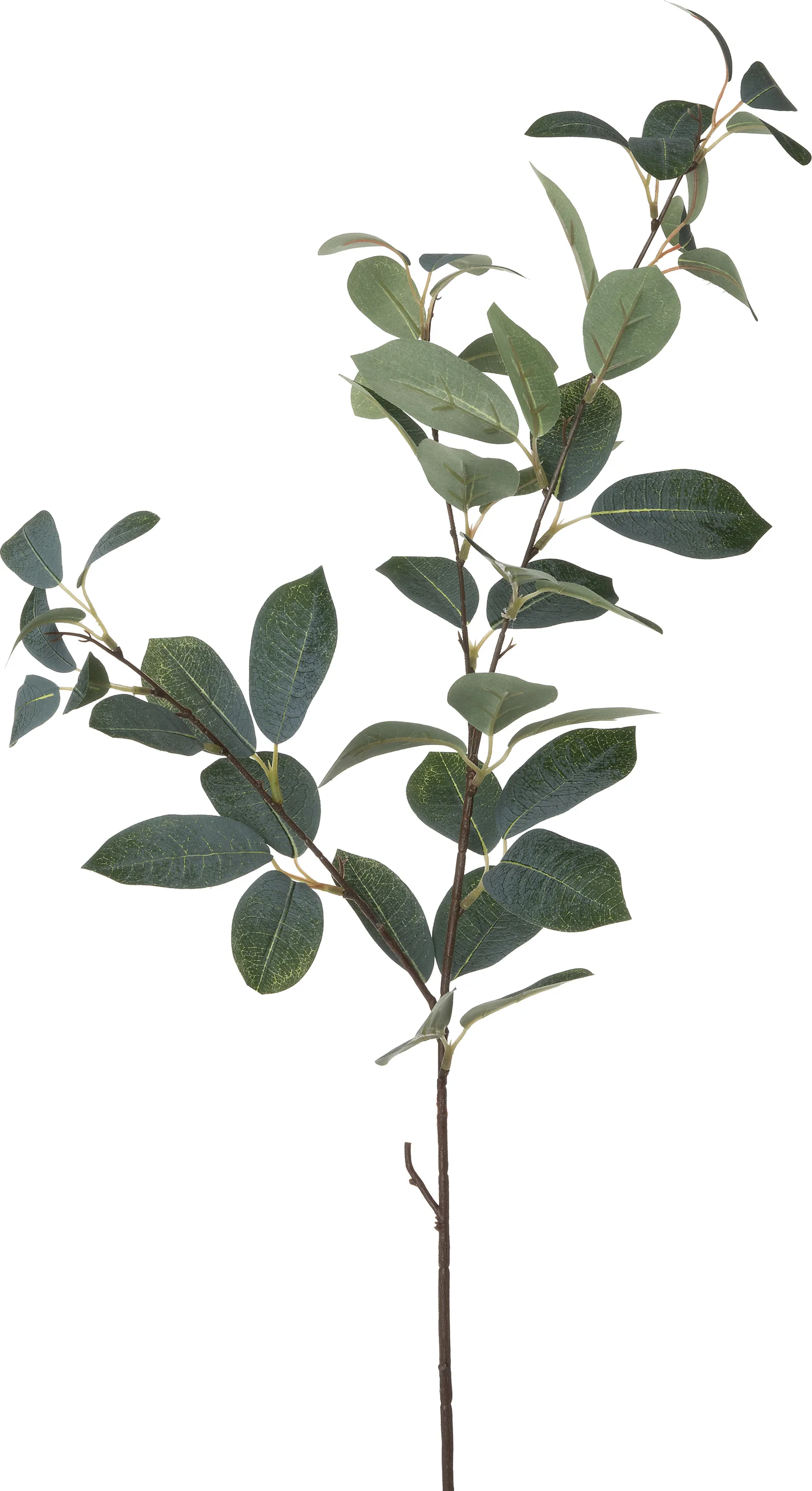 Intratuin kunsttak Eucalyptus 90 cm