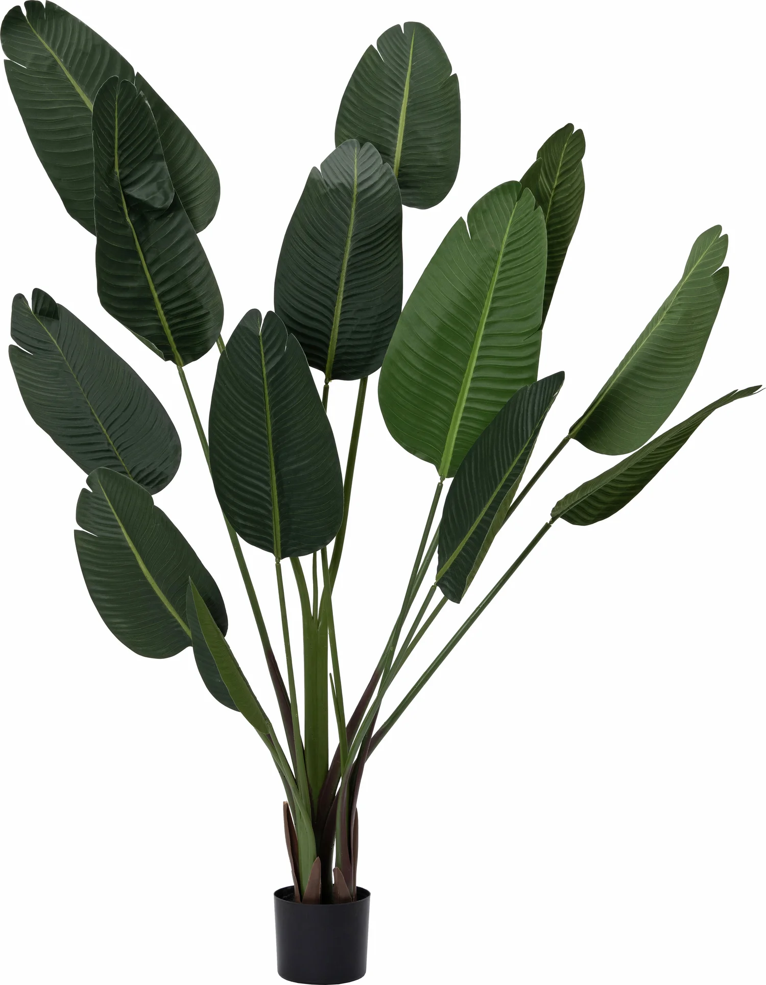 Intratuin kunstplant Strelitzia 100 x 100 x 180 cm