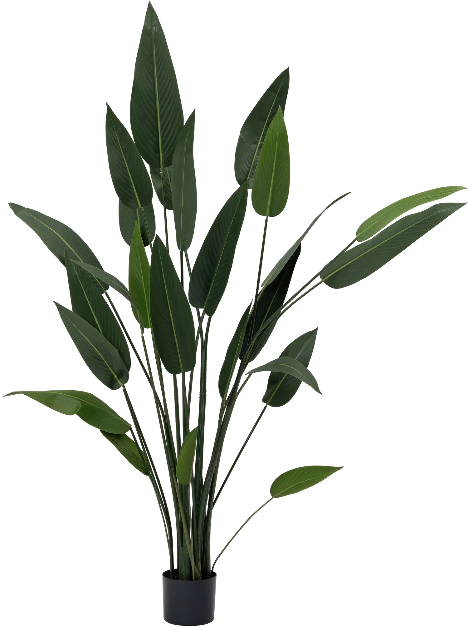 Intratuin kunstplant Paradijsvogelplant 65 x 65 x 160 cm