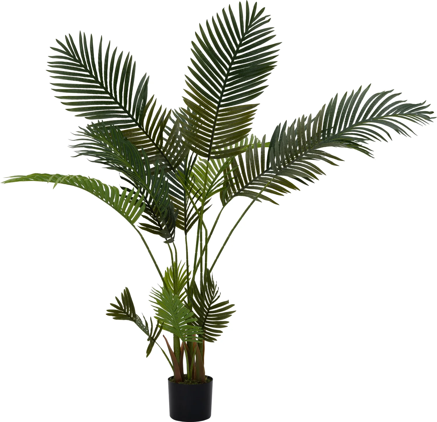 Intratuin kunstplant Goudpalm 50 x 50 x 150 cm