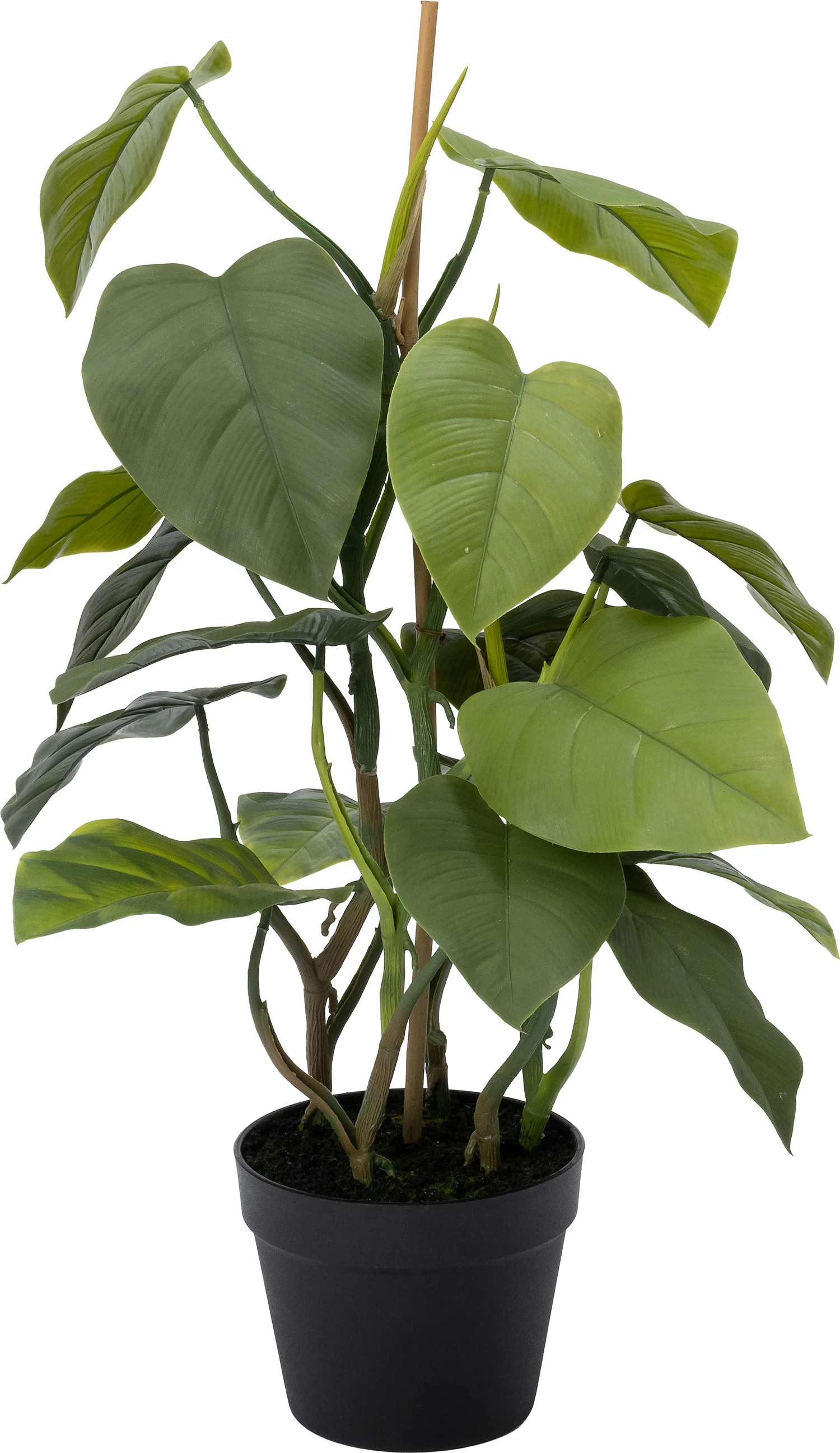 Intratuin kunstplant Philodendron 71 x 40 x 40 cm