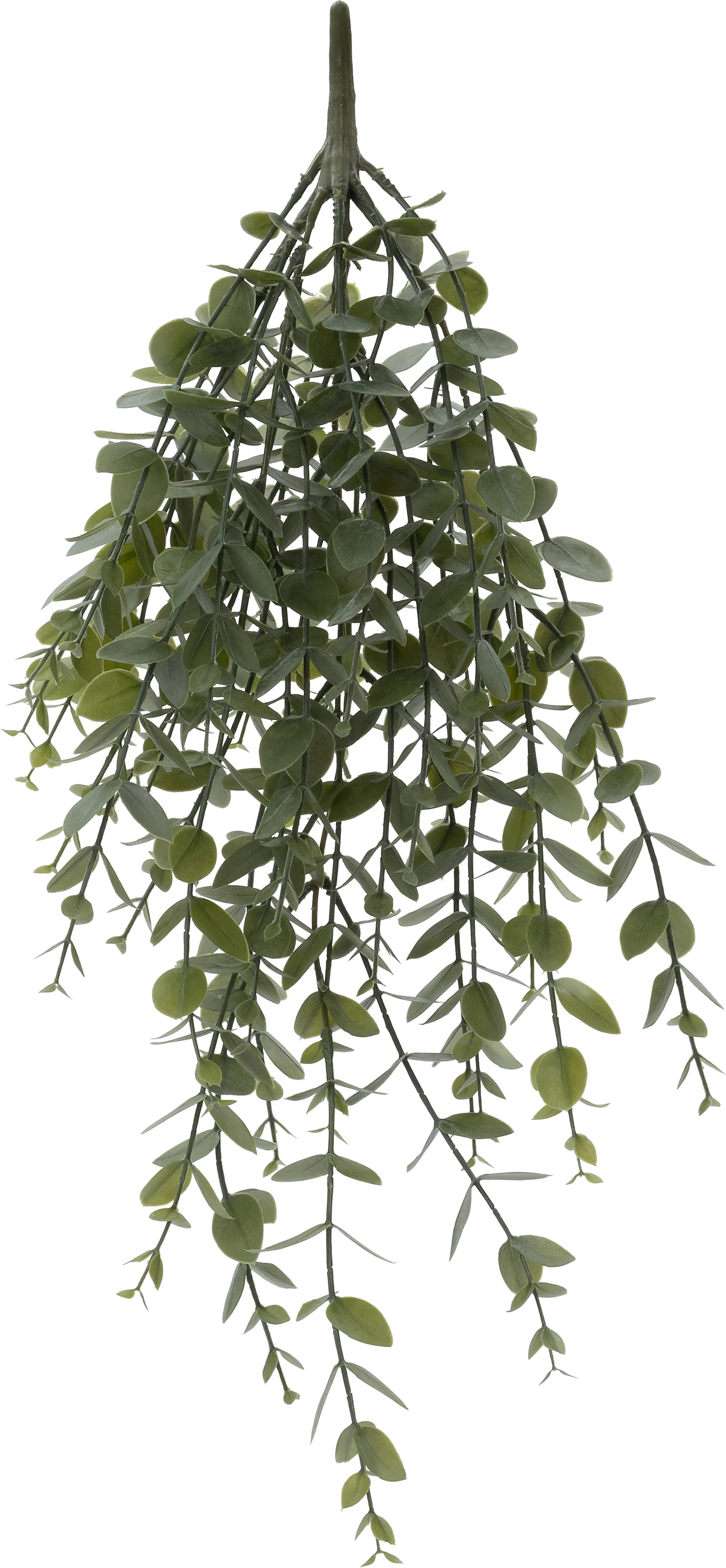 Intratuin kunsttak Eucalyptus wit groen 24 x 11 x 3 cm