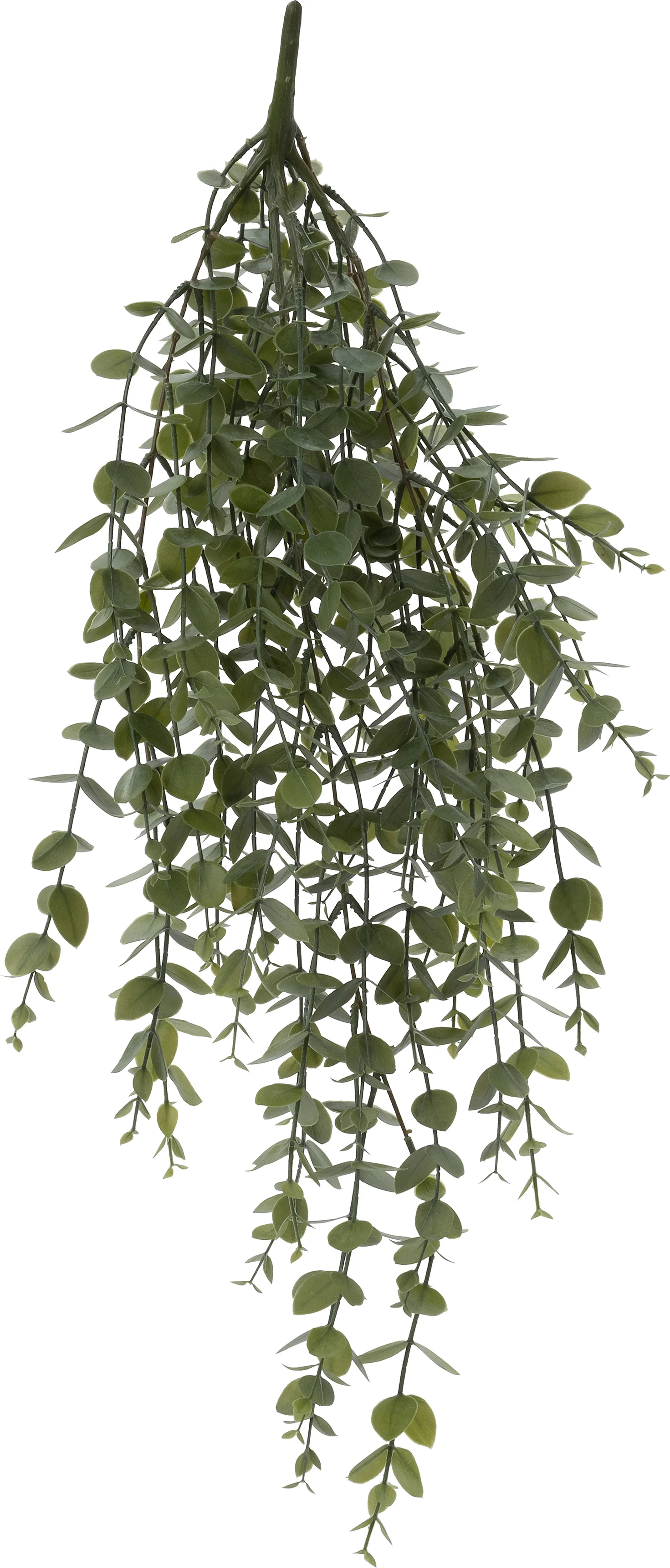 Intratuin kunsttak Eucalyptus groen 71 x 33 x 10 cm