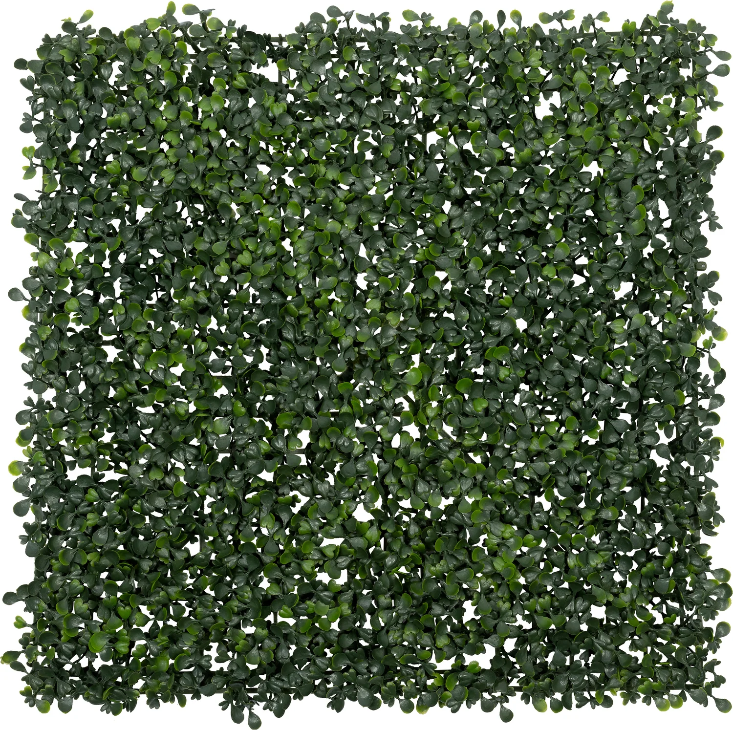 Intratuin kunstplanten wandpaneel groen 50 x 50 x 4 cm