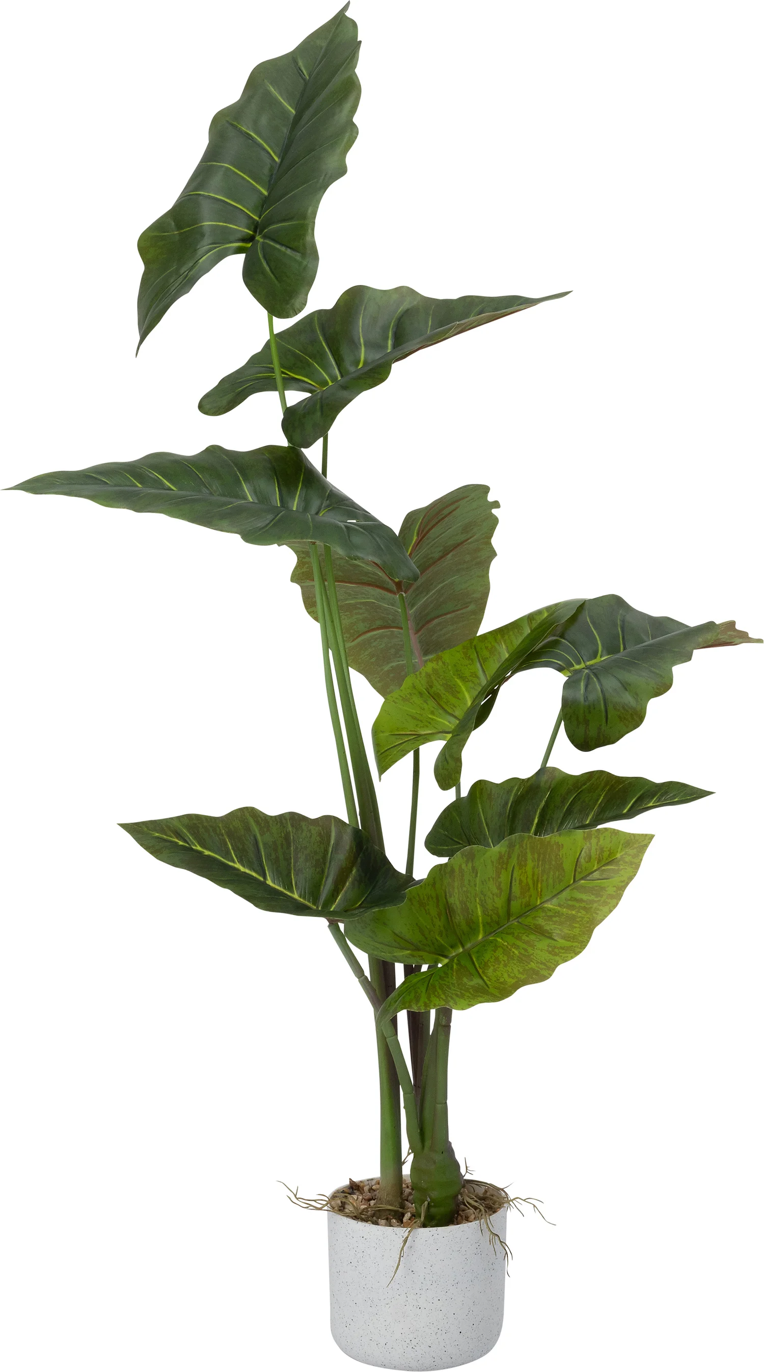 Intratuin kunstplant Alocasia H 95 cm
