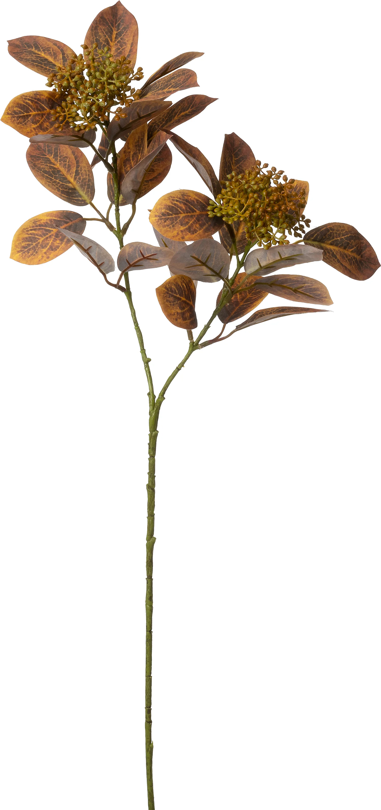 Intratuin kunsttak Photinia rood 71 cm