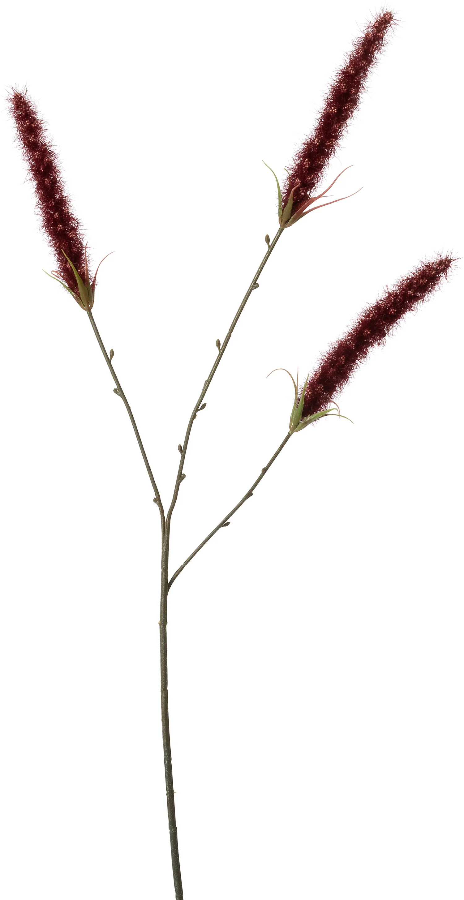 Intratuin kunsttak Lampenpoetsersgras paars 63 cm
