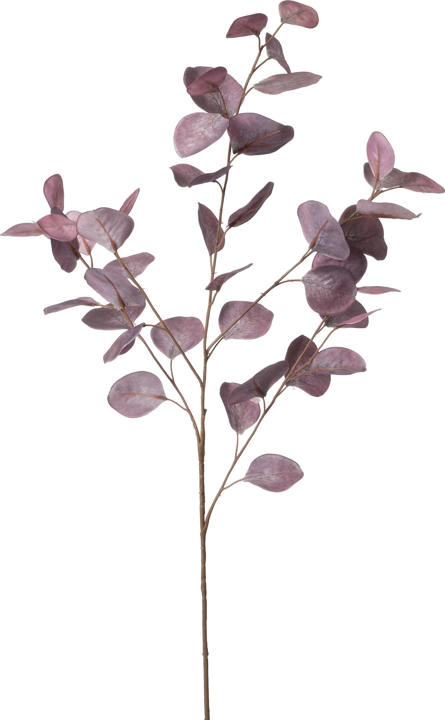 Intratuin kunsttak Pruikenboom paars 94 cm