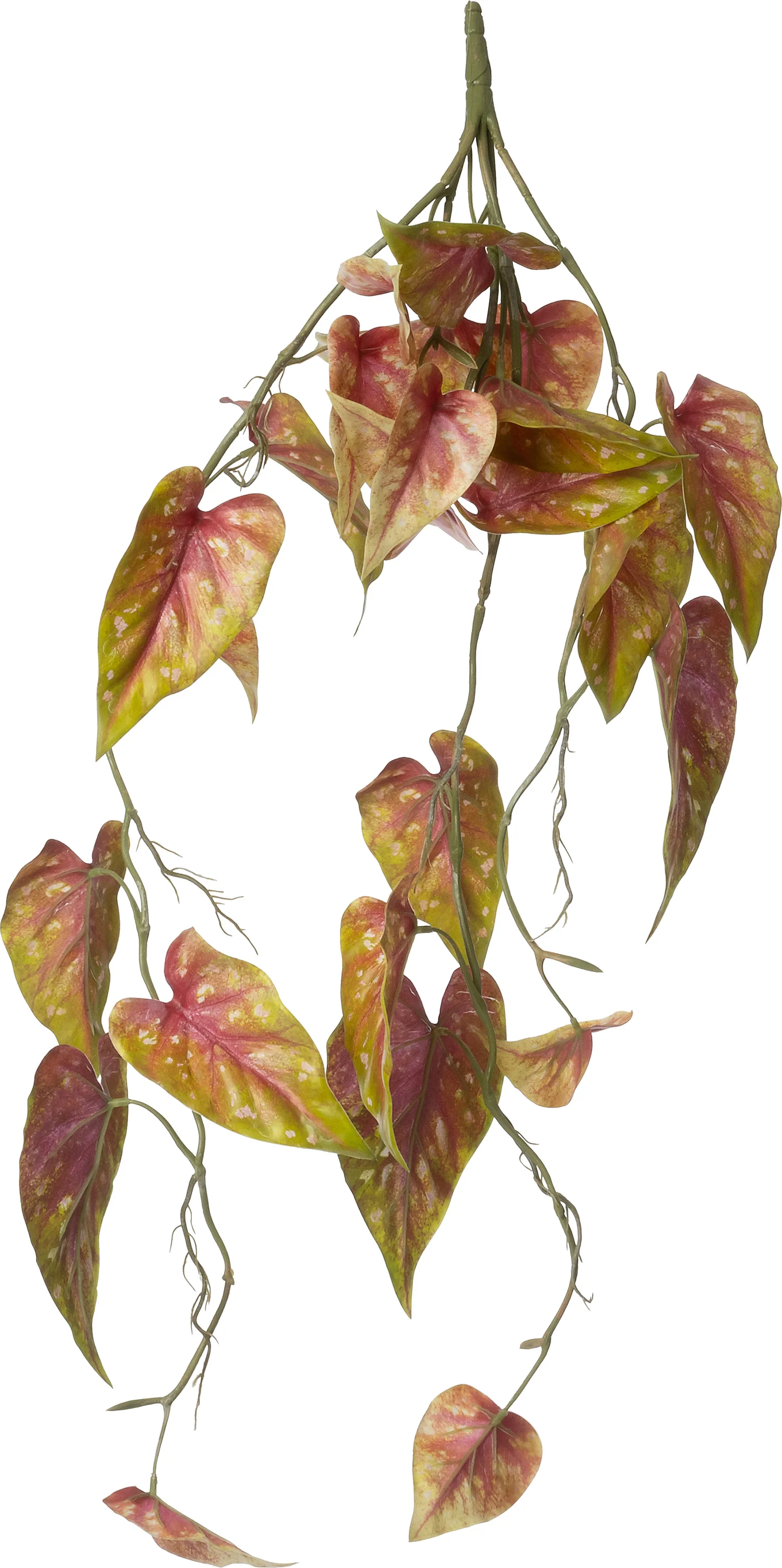 Intratuin kunsttak Caladium  91 cm