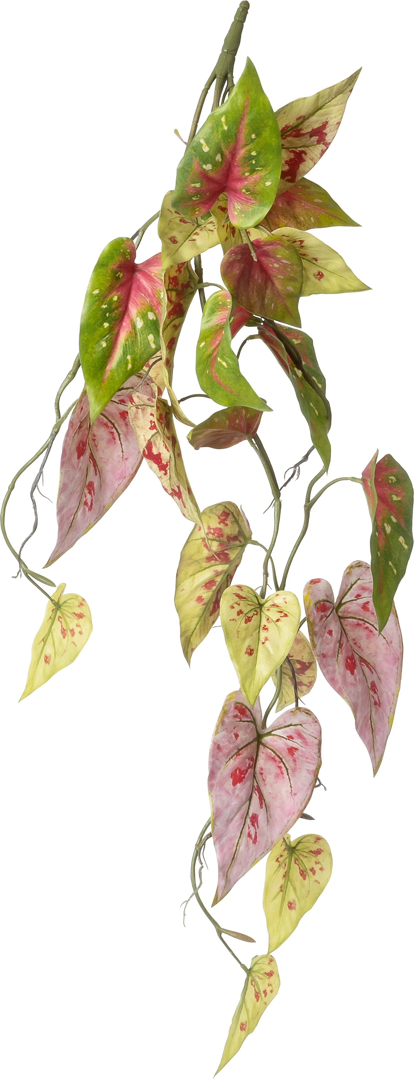 Intratuin kunsttak Caladium groen paars 91 cm