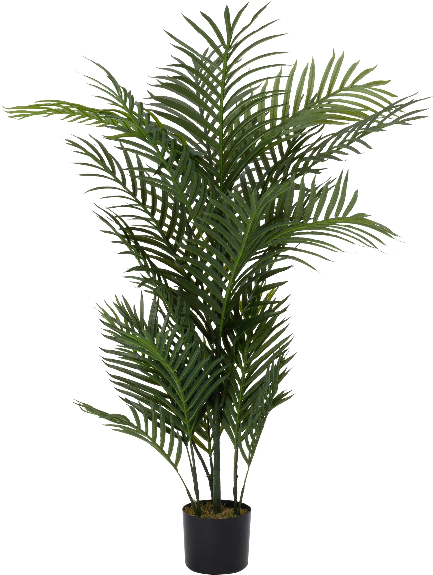 Intratuin kunstplant Areca 50 x 50 x 122 cm