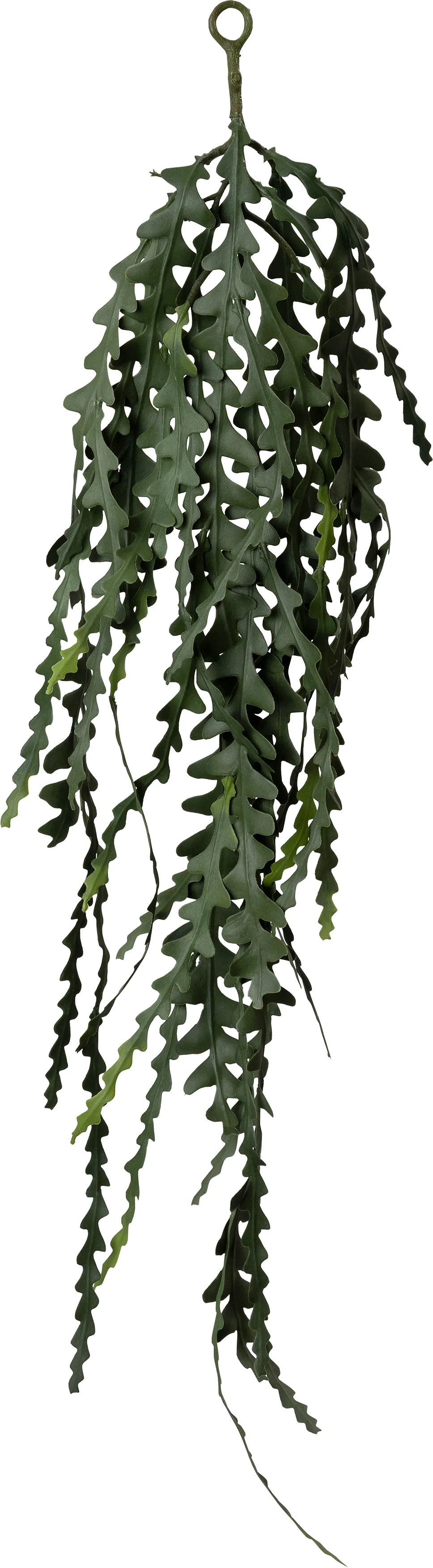 Intratuin kunsthangplant Zaagcactus groen 4 x 28 x 91 cm