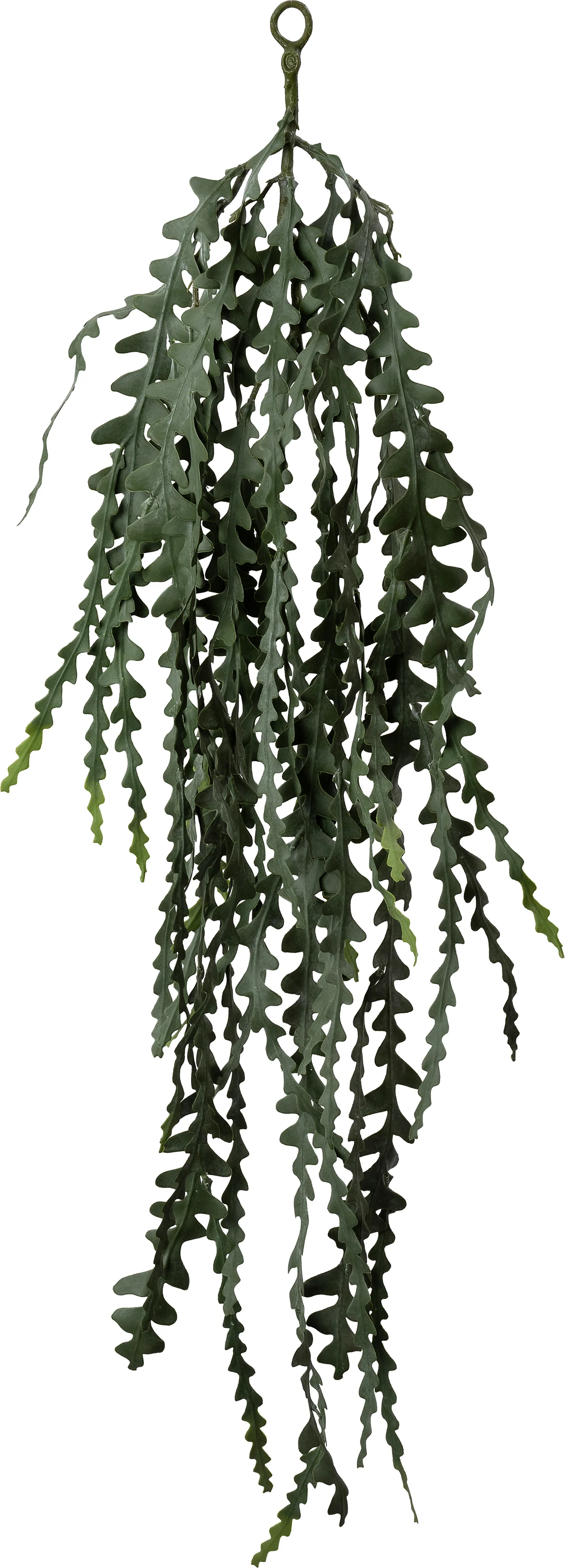 Intratuin kunsthangplant Zaagcactus grijsgroen 4 x 33 x 104 cm