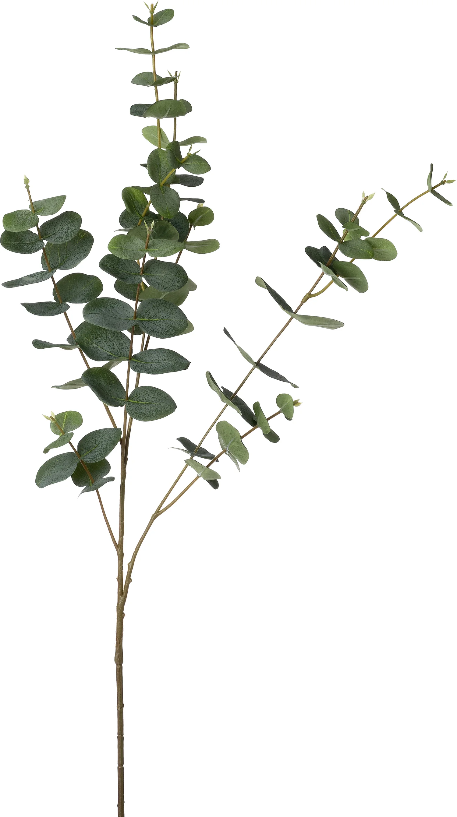 Intratuin kunsttak Eucalyptus donker groen 95 cm