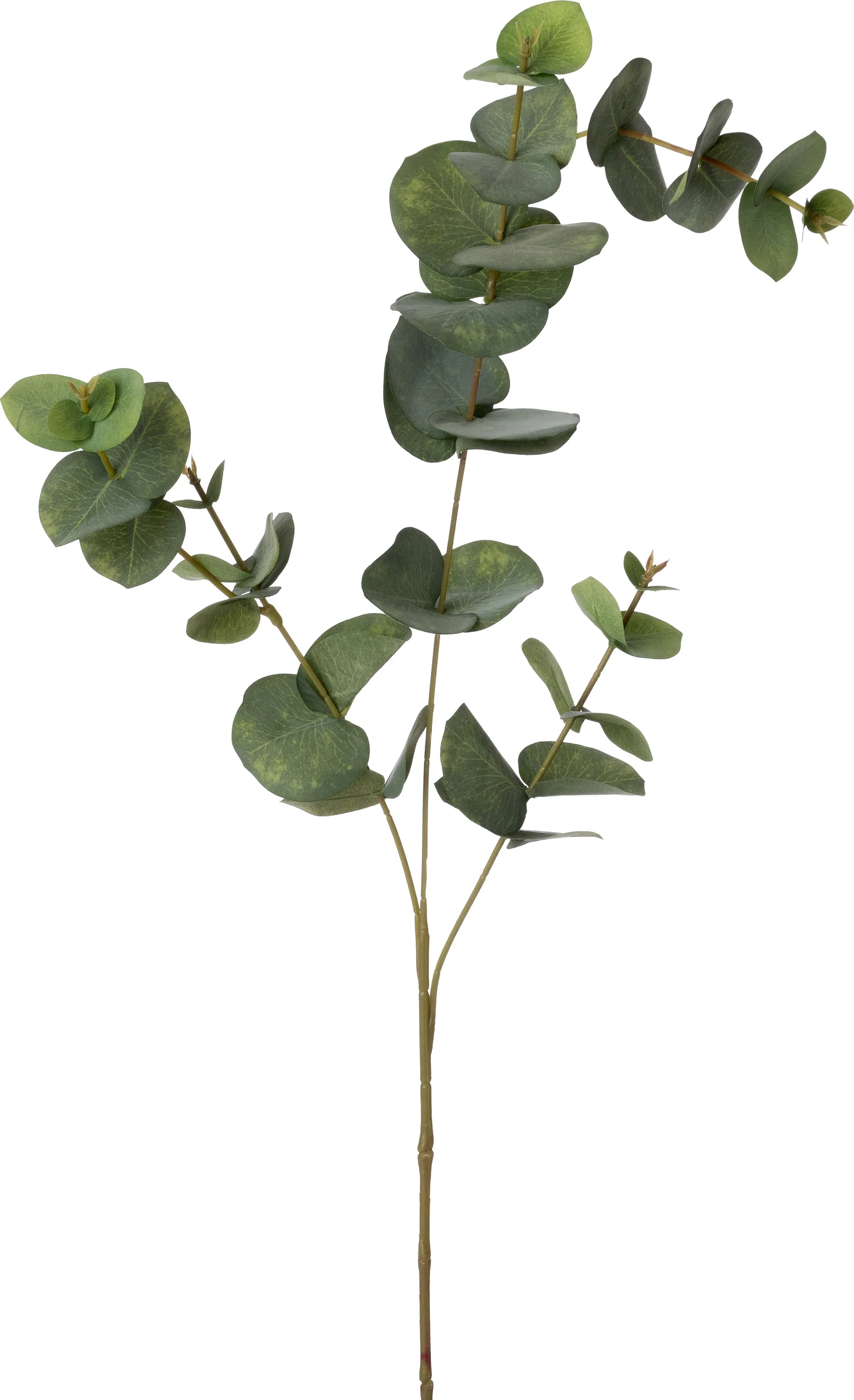 Intratuin kunsttak Eucalyptus 85 cm