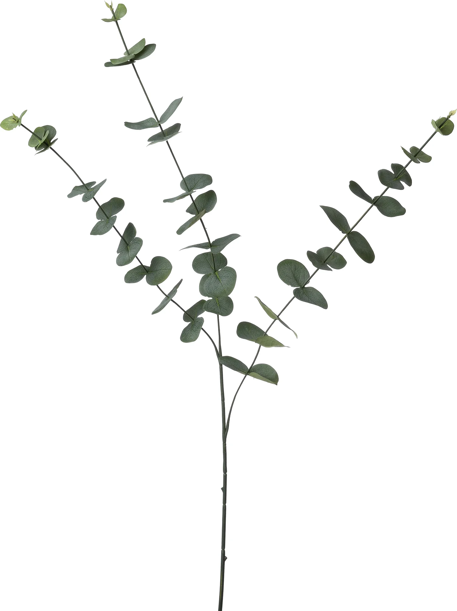 Intratuin kunsttak Eucalyptus groen 98 cm