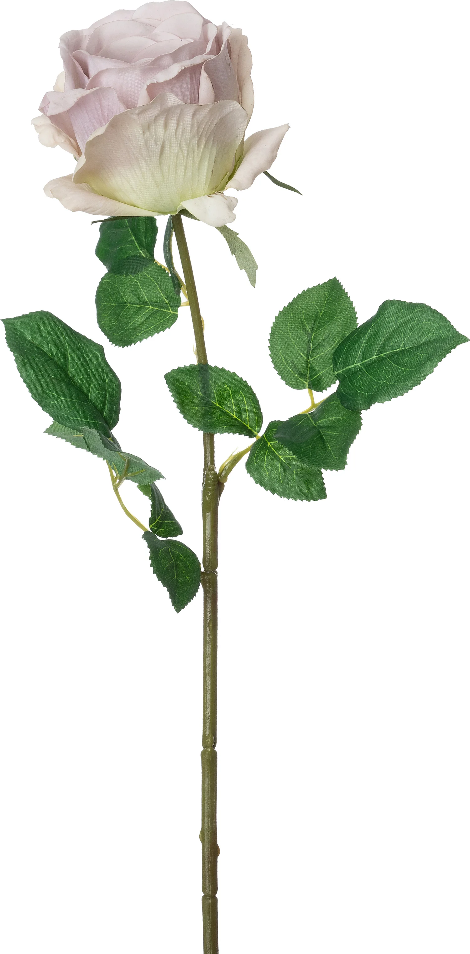 Intratuin kunstbloem Roos paars 65 cm