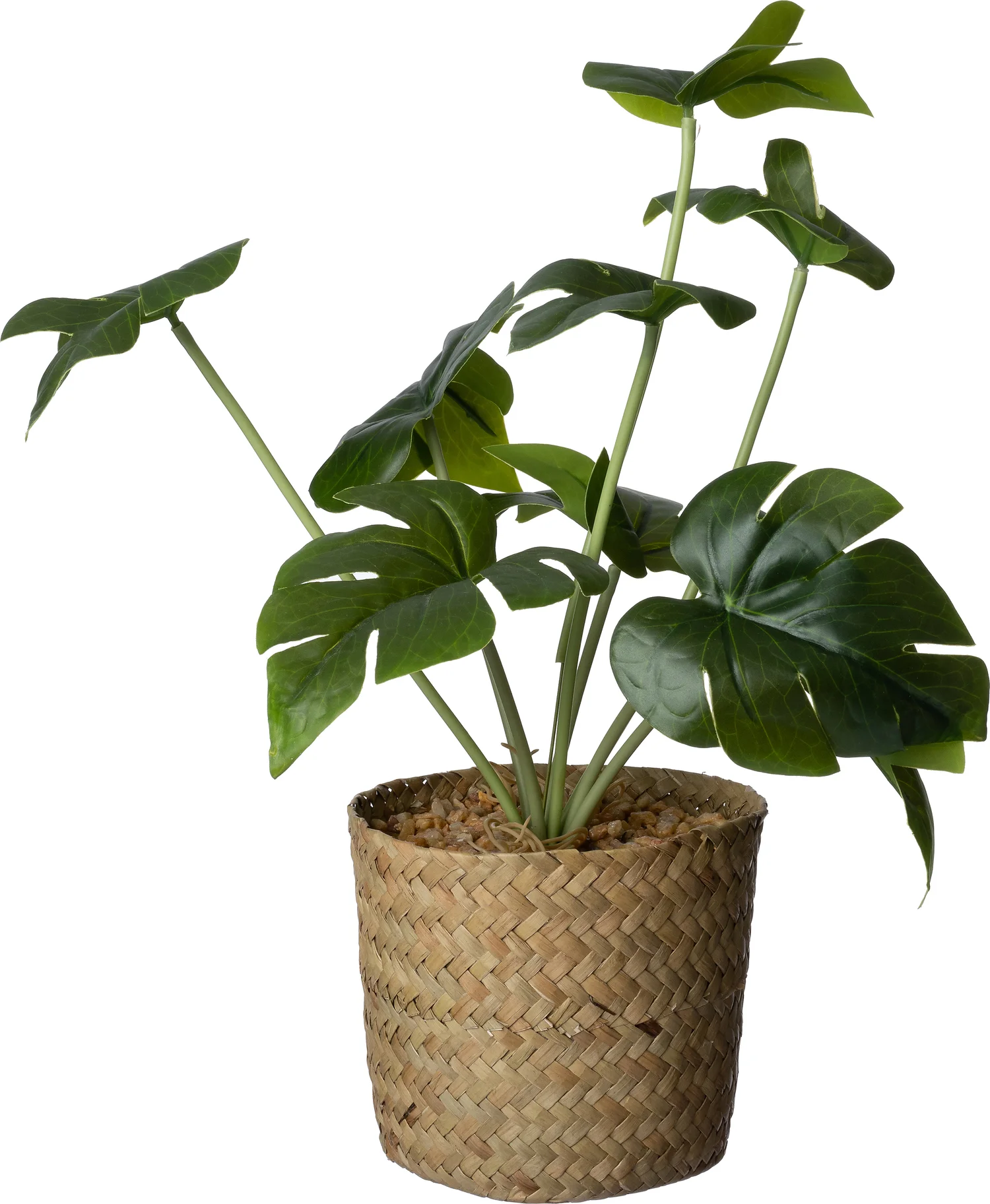 Intratuin kunstplant Monstera 11 x 11 x 26 cm