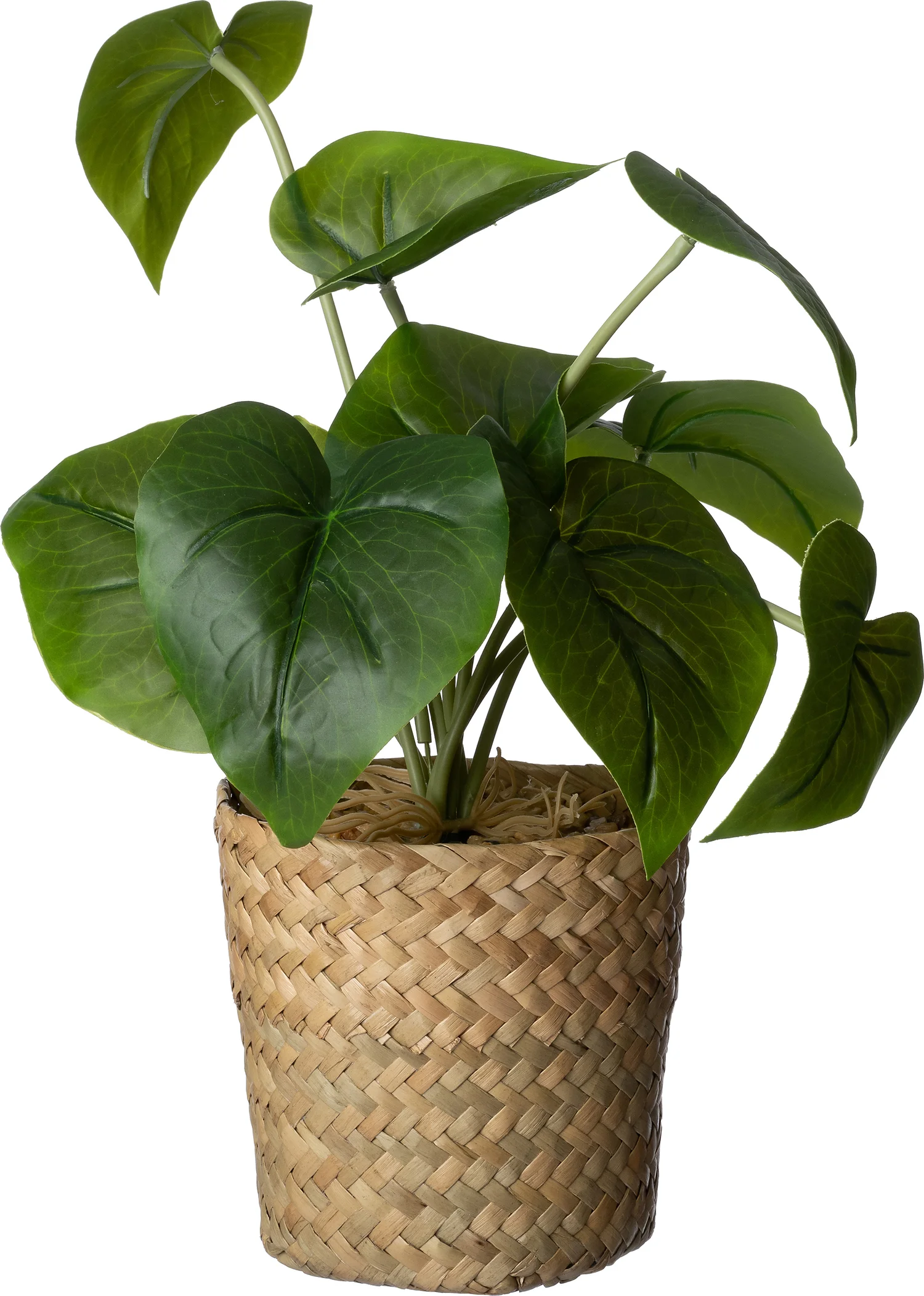 Intratuin kunstplant Alocasia 11 x 11 x 26 cm