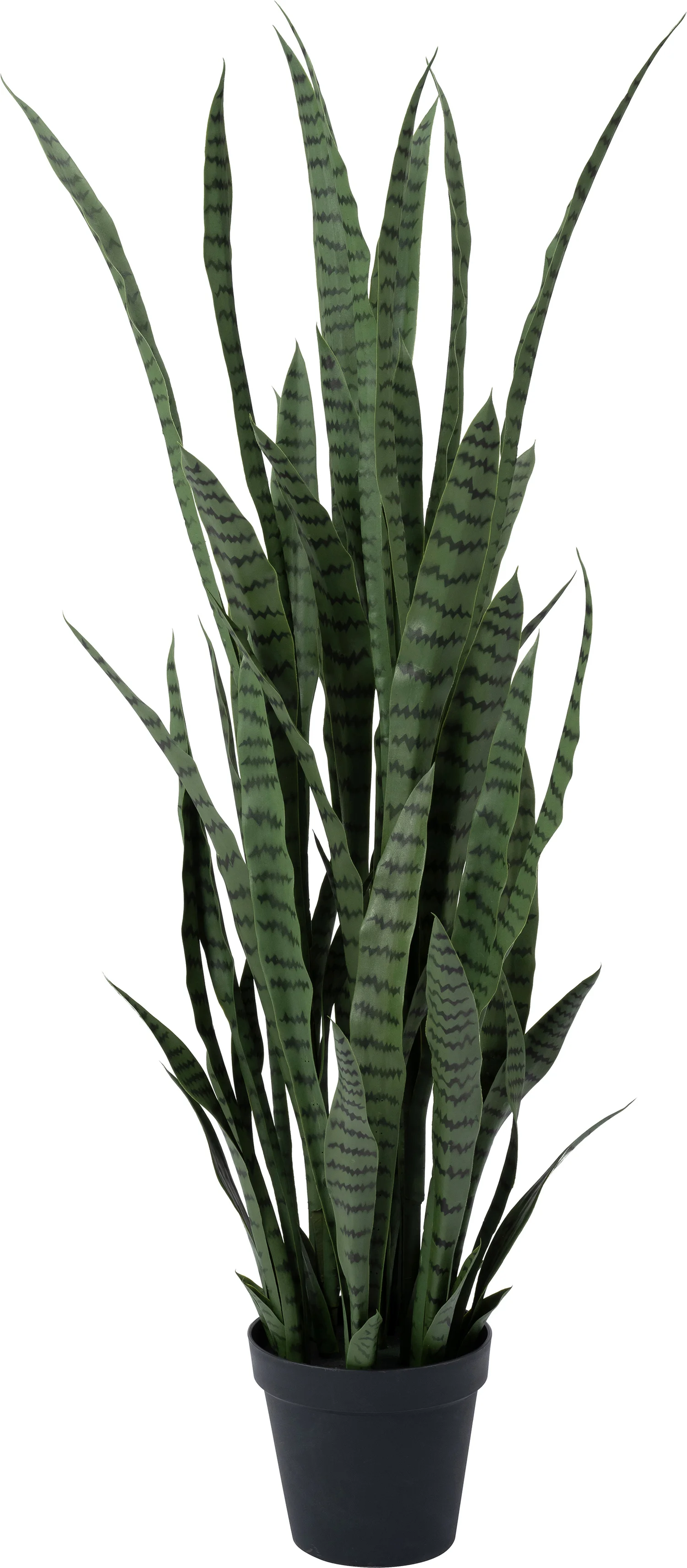 Intratuin kunstplant Vrouwentong 50 x 50 x 148 cm