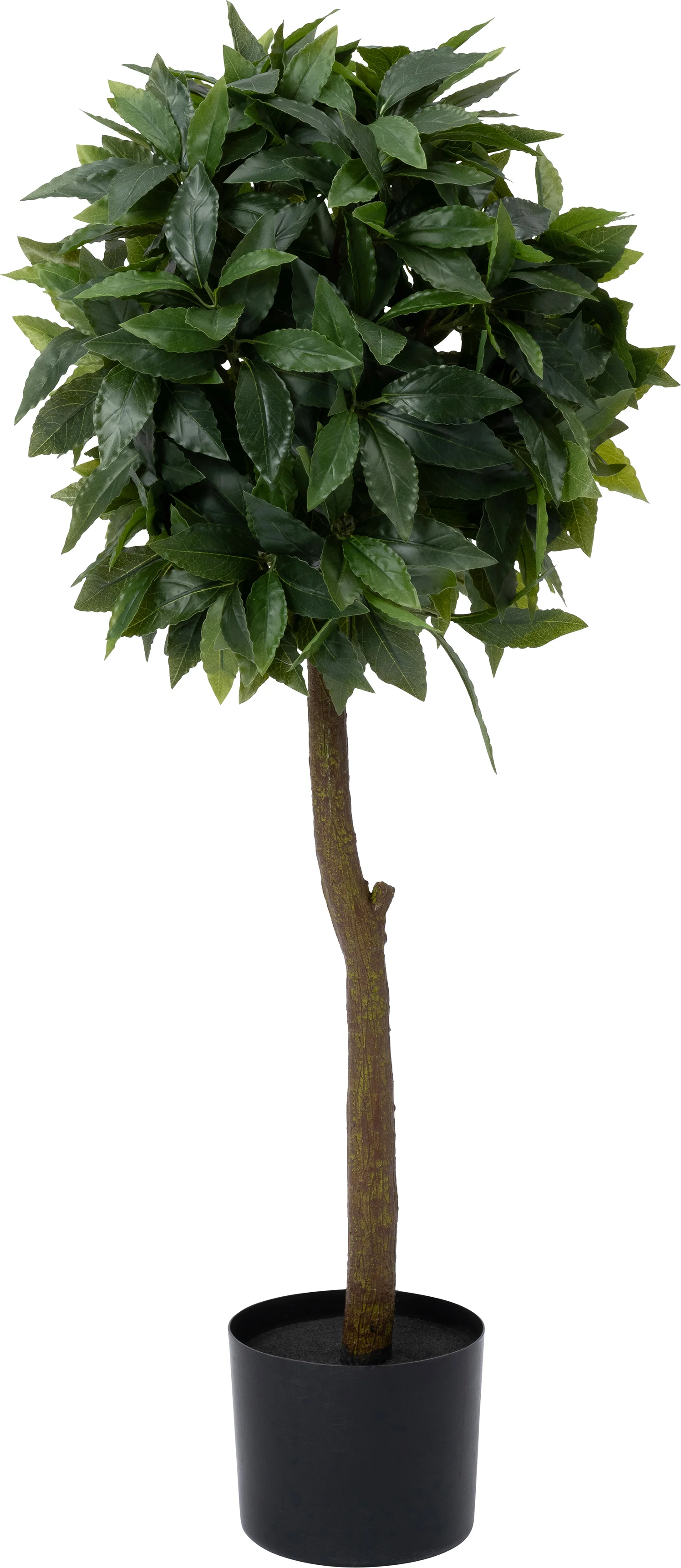 Intratuin kunstplant Laurier  35 x 35 x 90 cm
