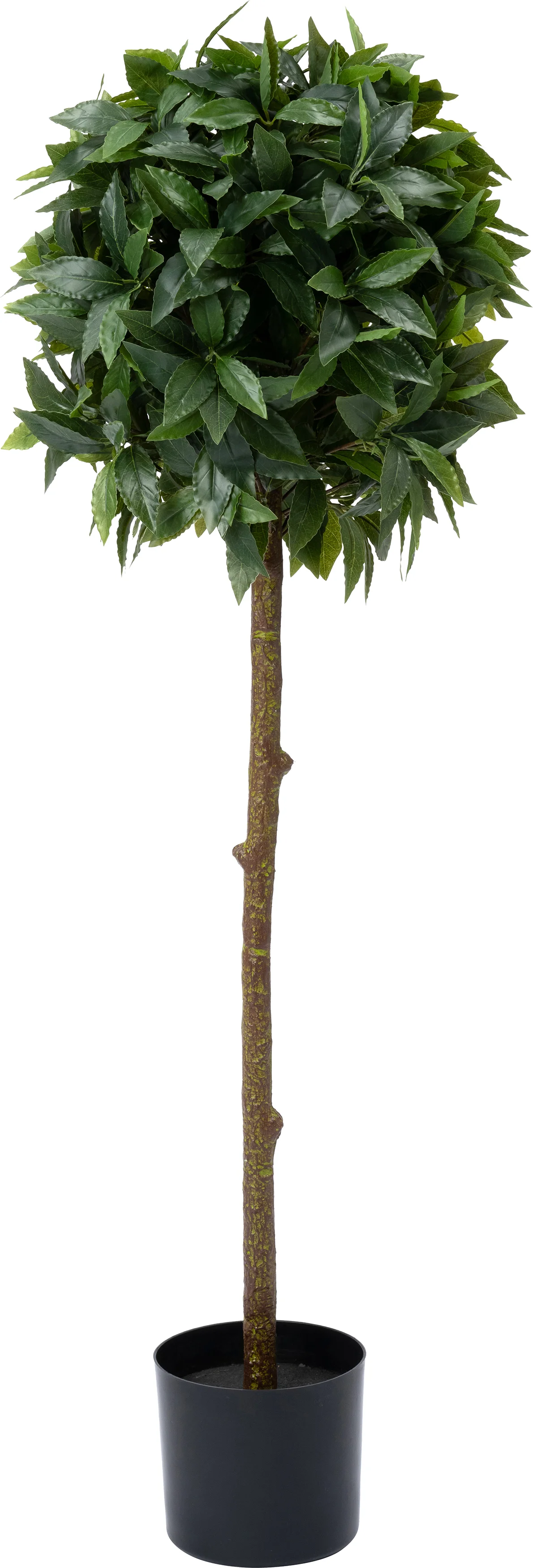 Intratuin kunstplant Laurier  40 x 40 x 120 cm