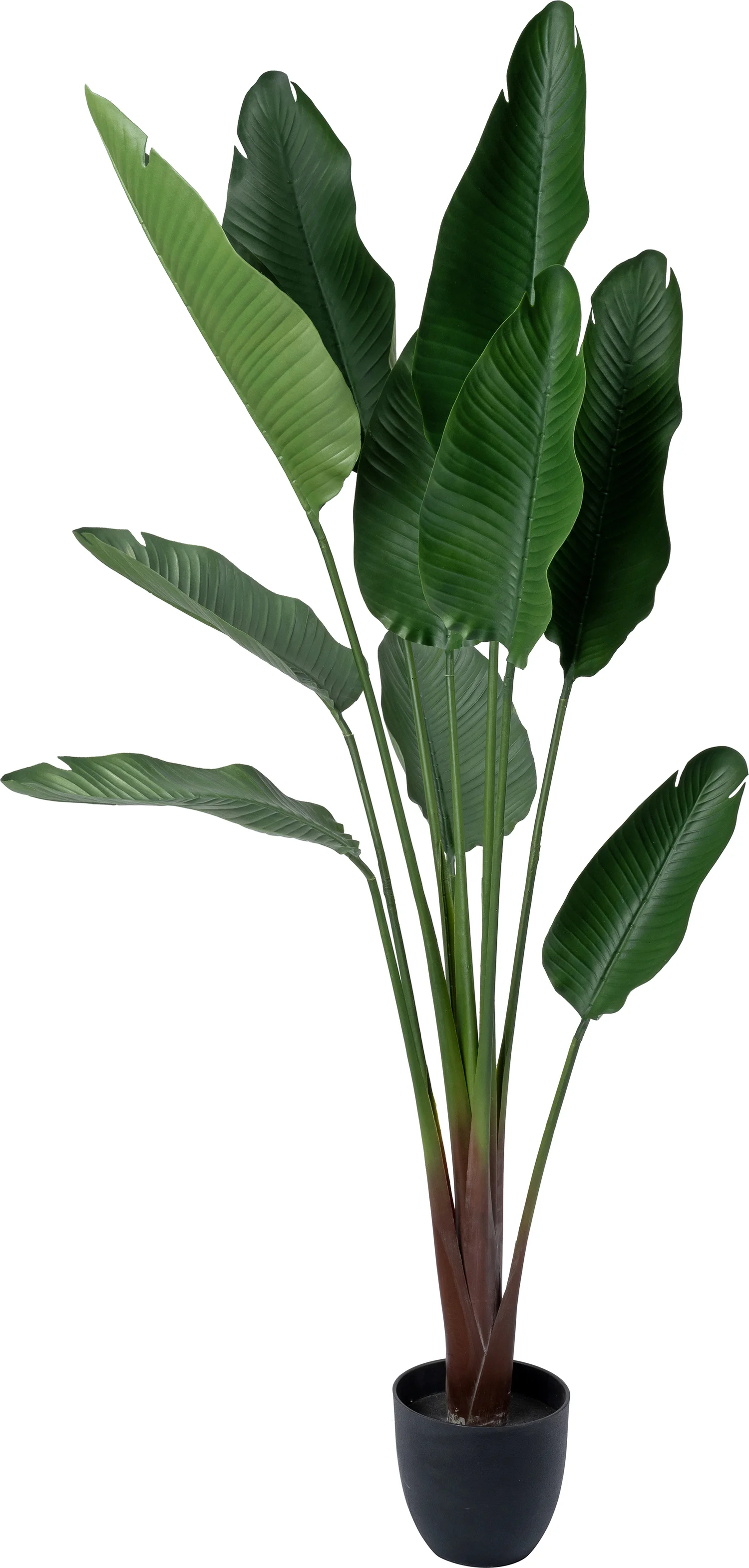 Intratuin kunstplant Strelitzia 95 x 95 x 185 cm