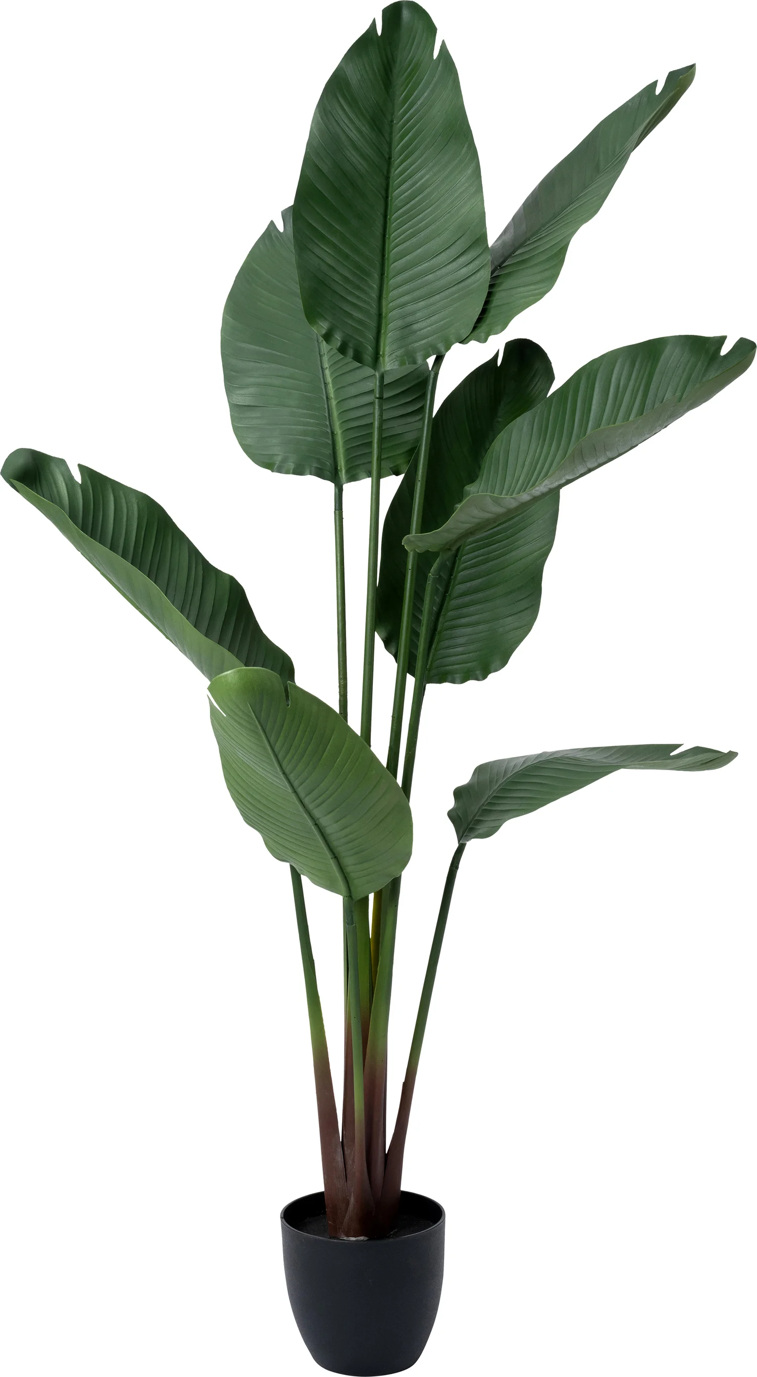 Intratuin kunstplant Strelitzia 75 x 75 x 159 cm