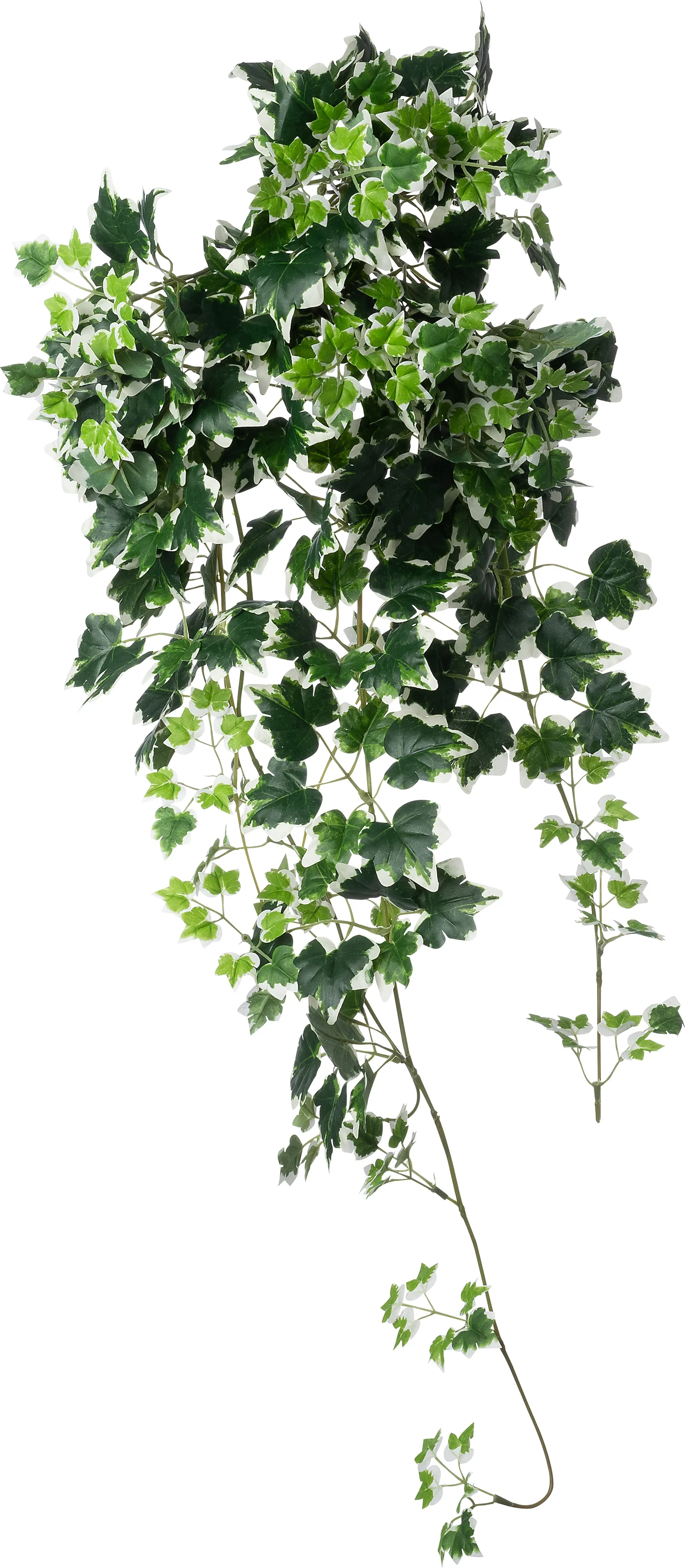 Intratuin kunsthangplant Klimop witbont 25 x 10 x 100 cm