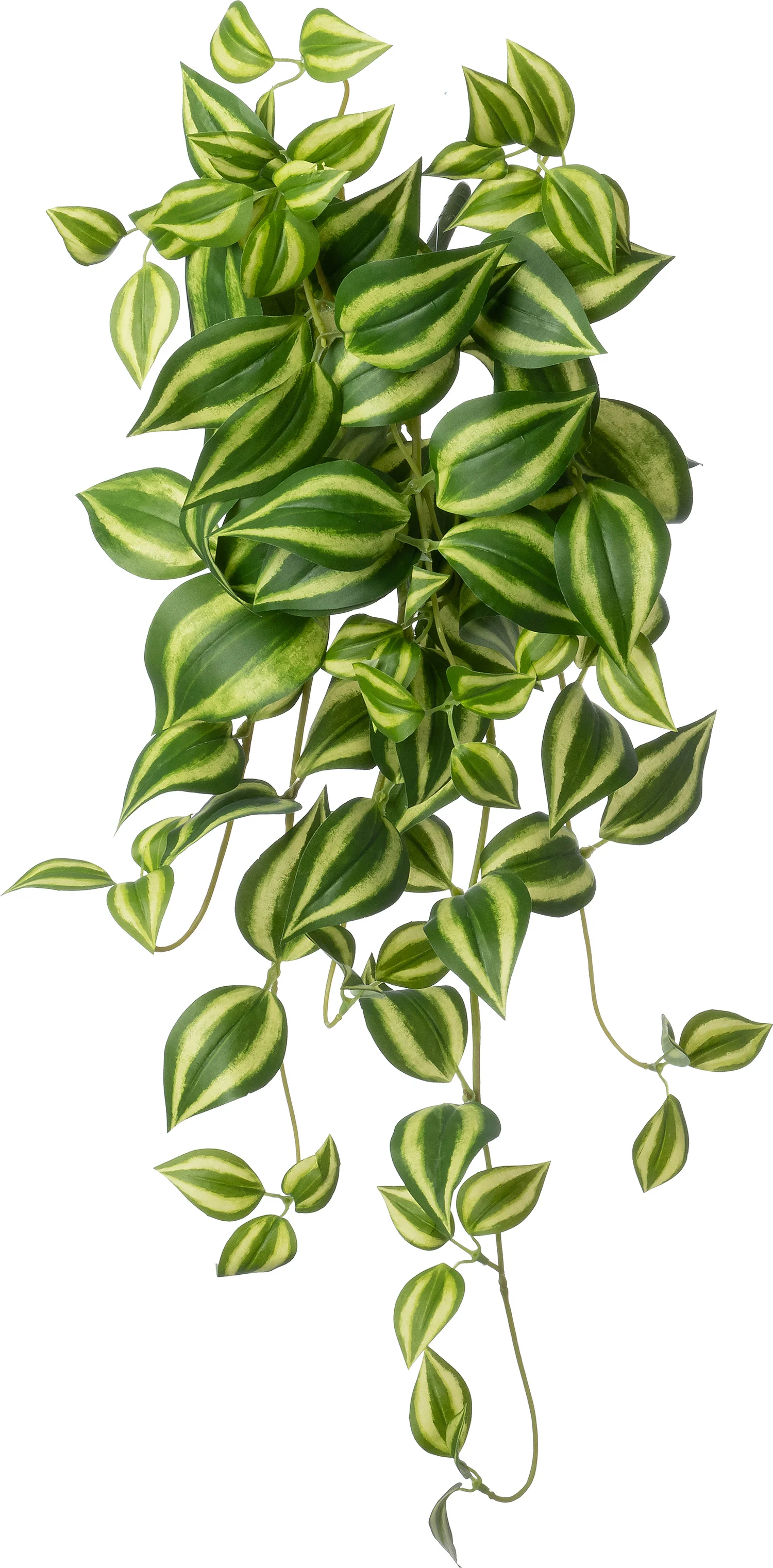 Intratuin kunsthangplant Vaderplant groen 15 x 6 x 60 cm