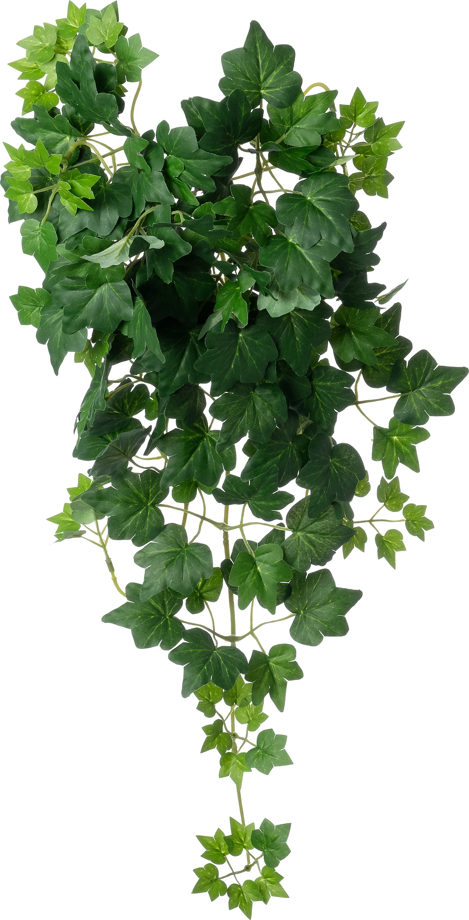 Intratuin kunsthangplant Klimop donkergroen 15 x 6 x 60 cm
