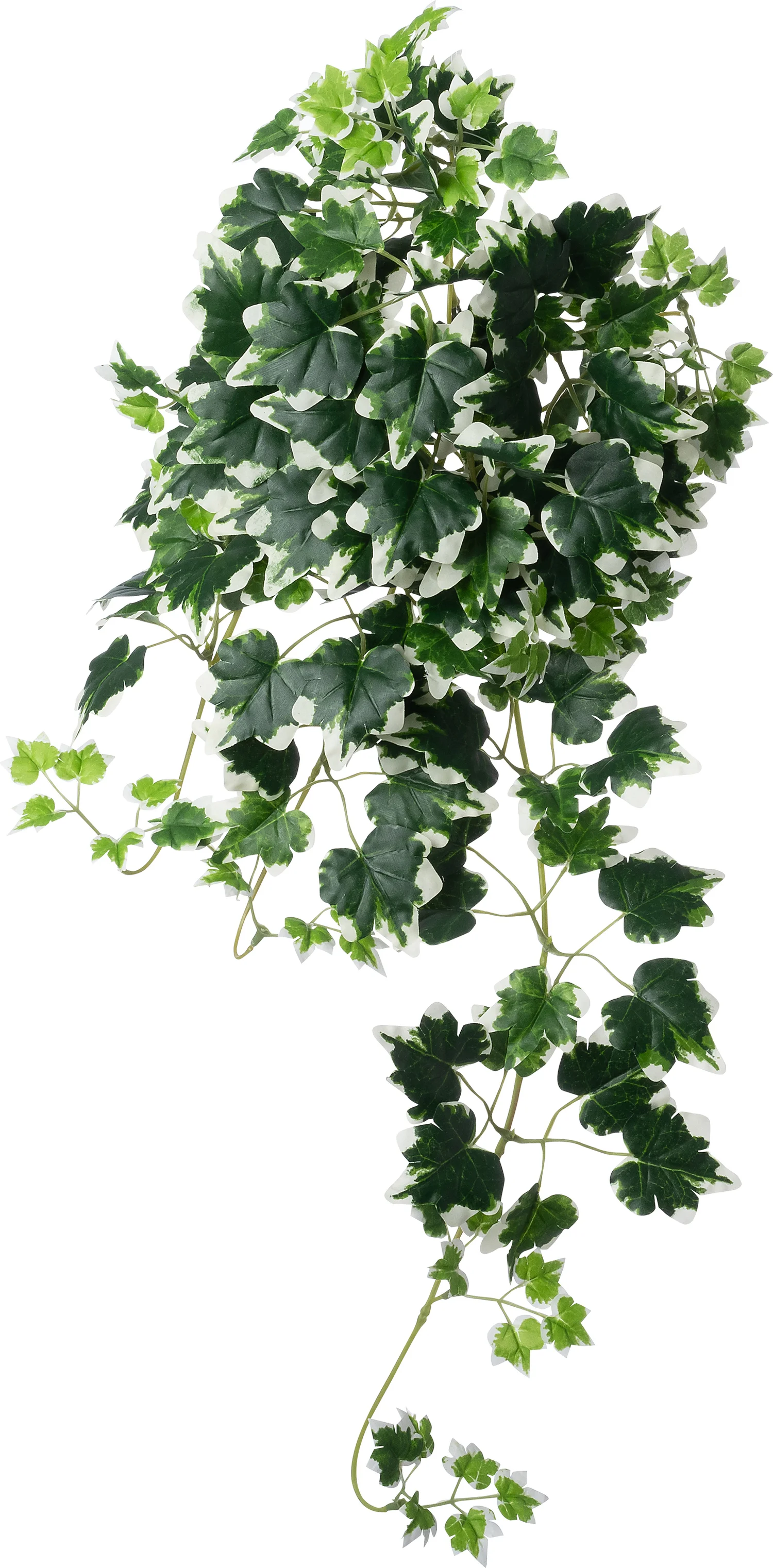 Intratuin kunsthangplant Klimop witbont 15 x 6 x 60 cm