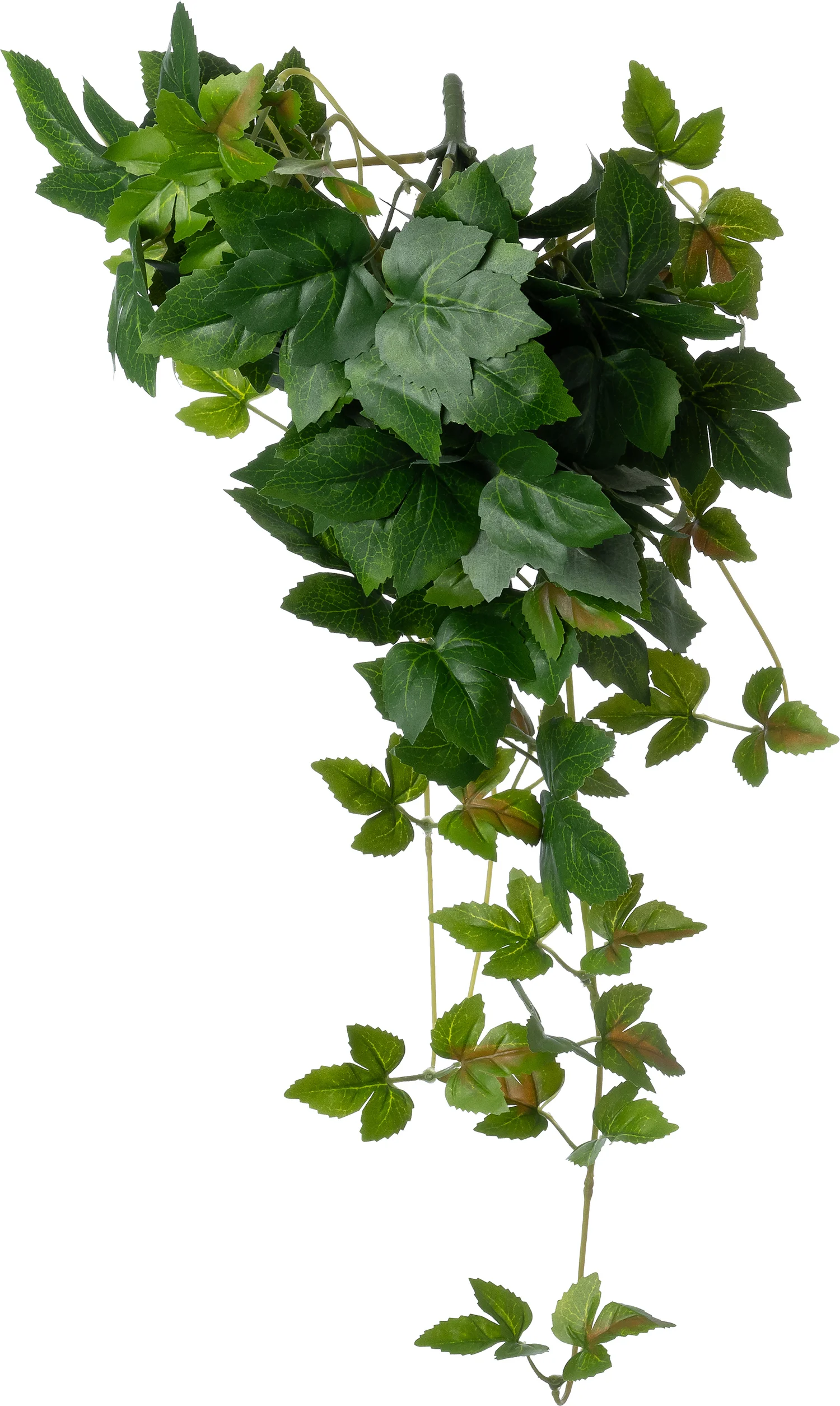 Intratuin kunsthangplant Klimop groen 15 x 6 x 60 cm