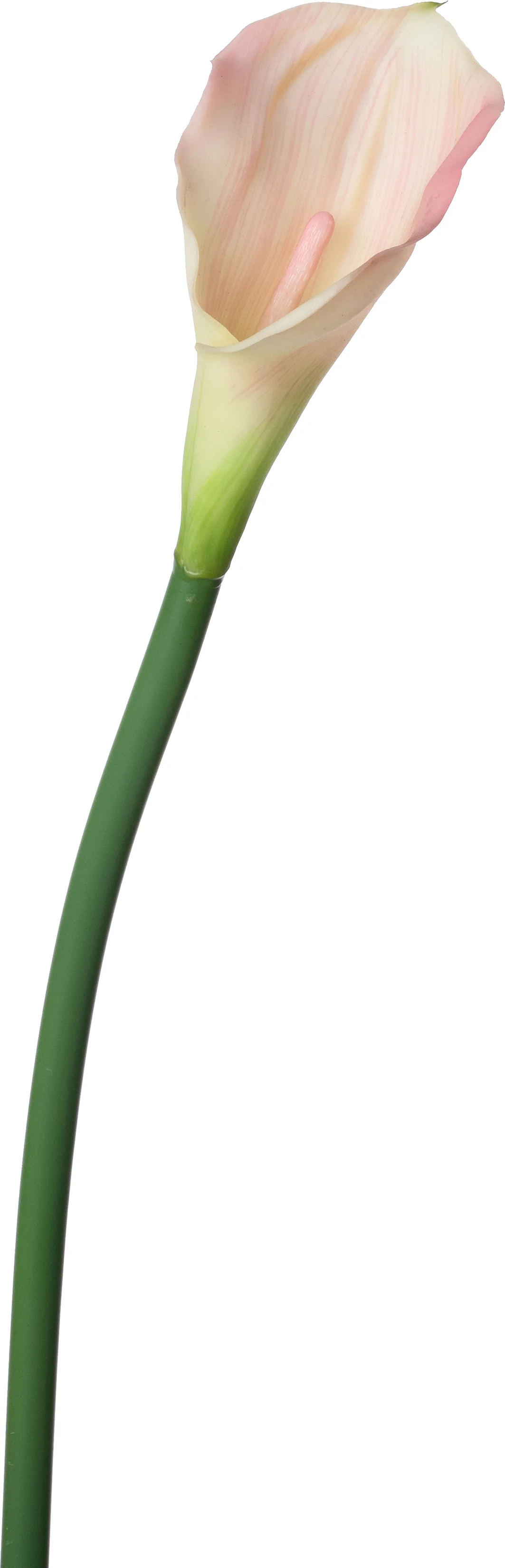 Intratuin kunstbloem Calla roze 68 cm