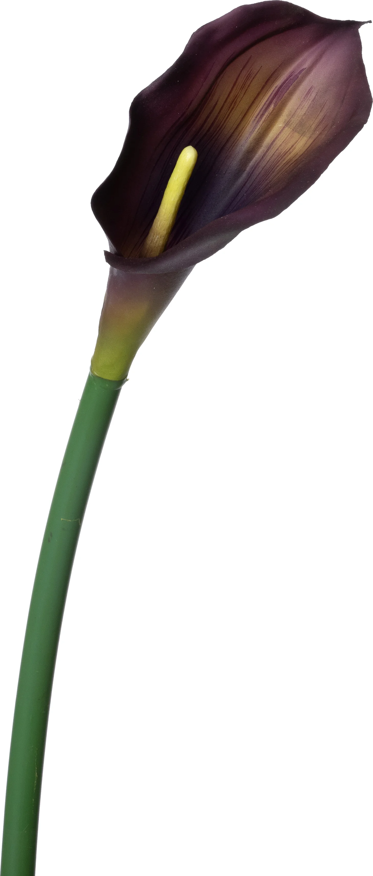 Intratuin kunstbloem Calla paars 68 cm