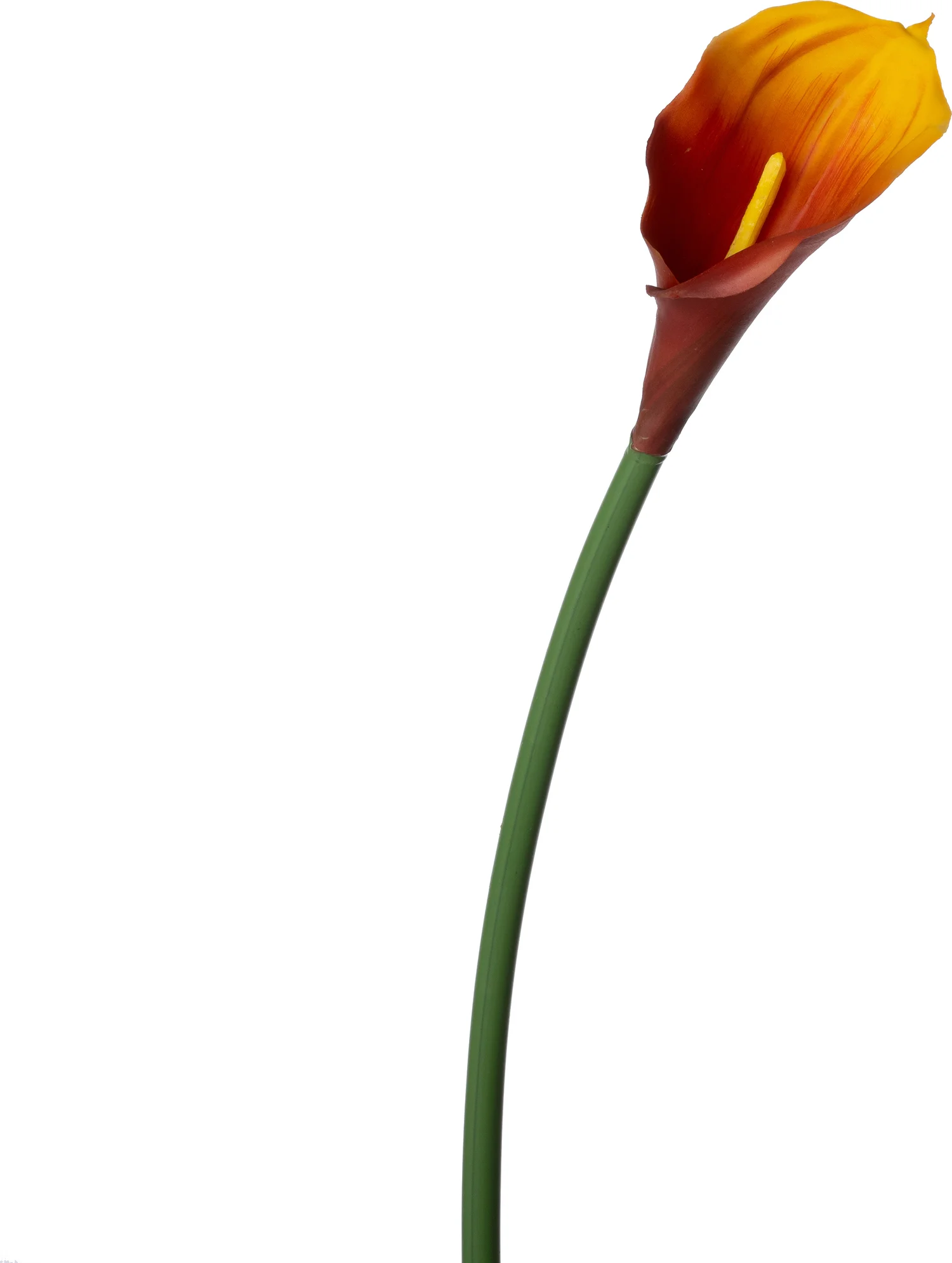 Intratuin kunstbloem Calla oranje rood 68 cm