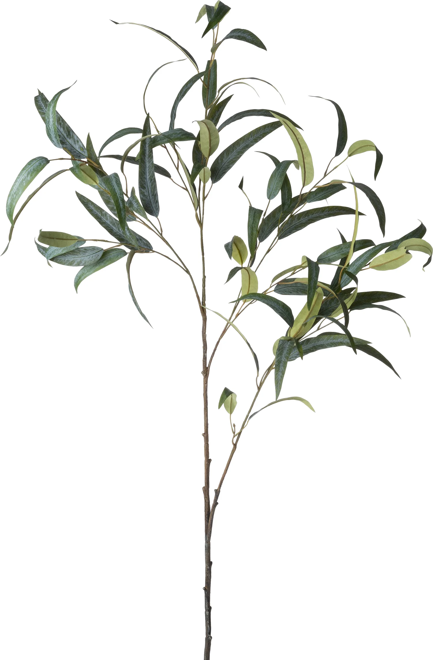 Intratuin kunsttak Eucalyptus 48,5 cm