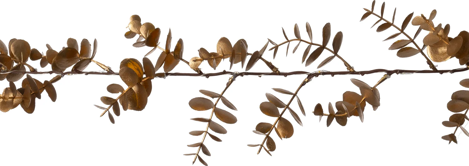 Intratuin guirlande goud tak met 20 lampjes warm wit 150 cm