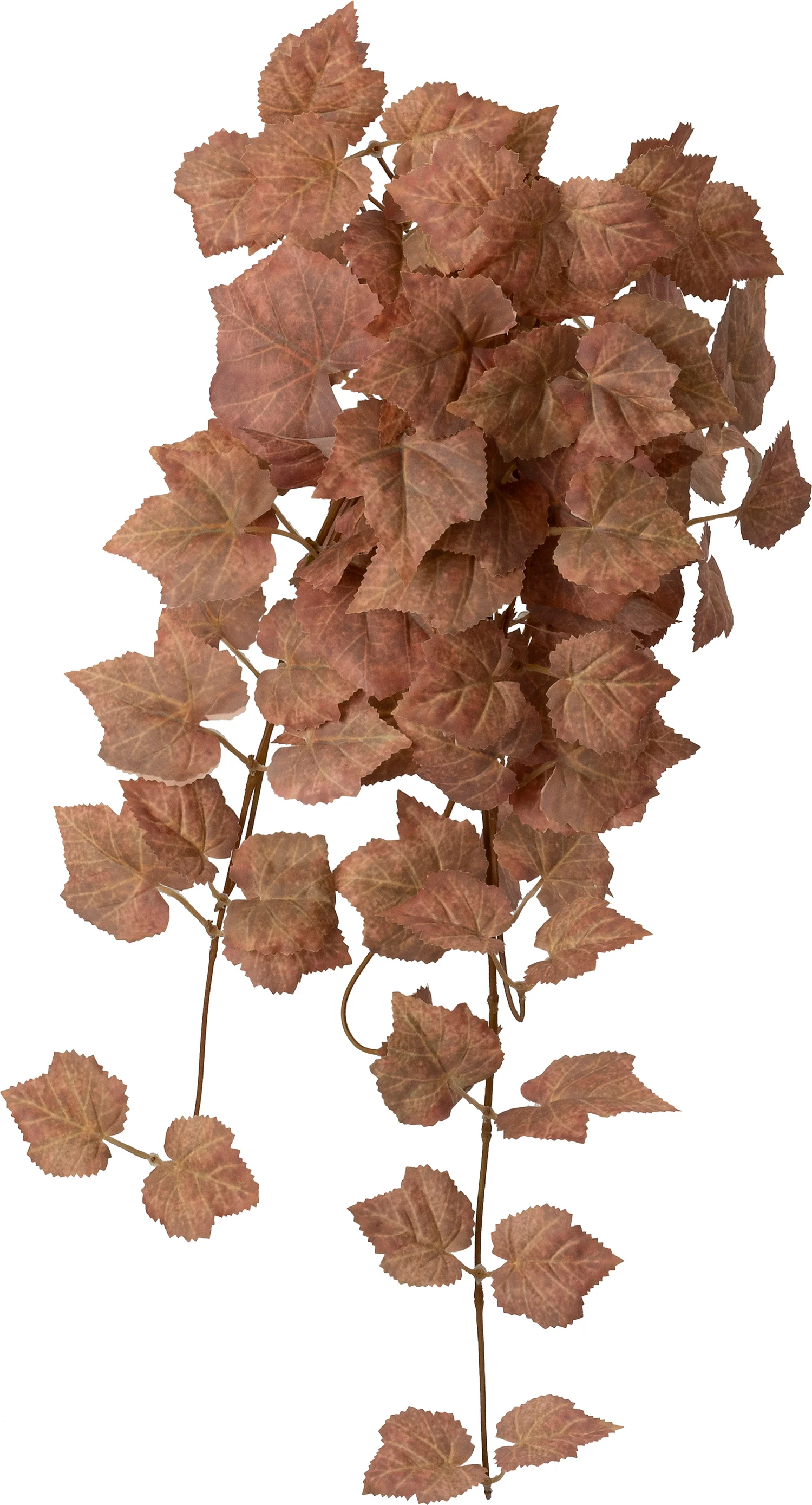 Intratuin kunsthangplant Klimop bruin 10 x 22 x 60 cm