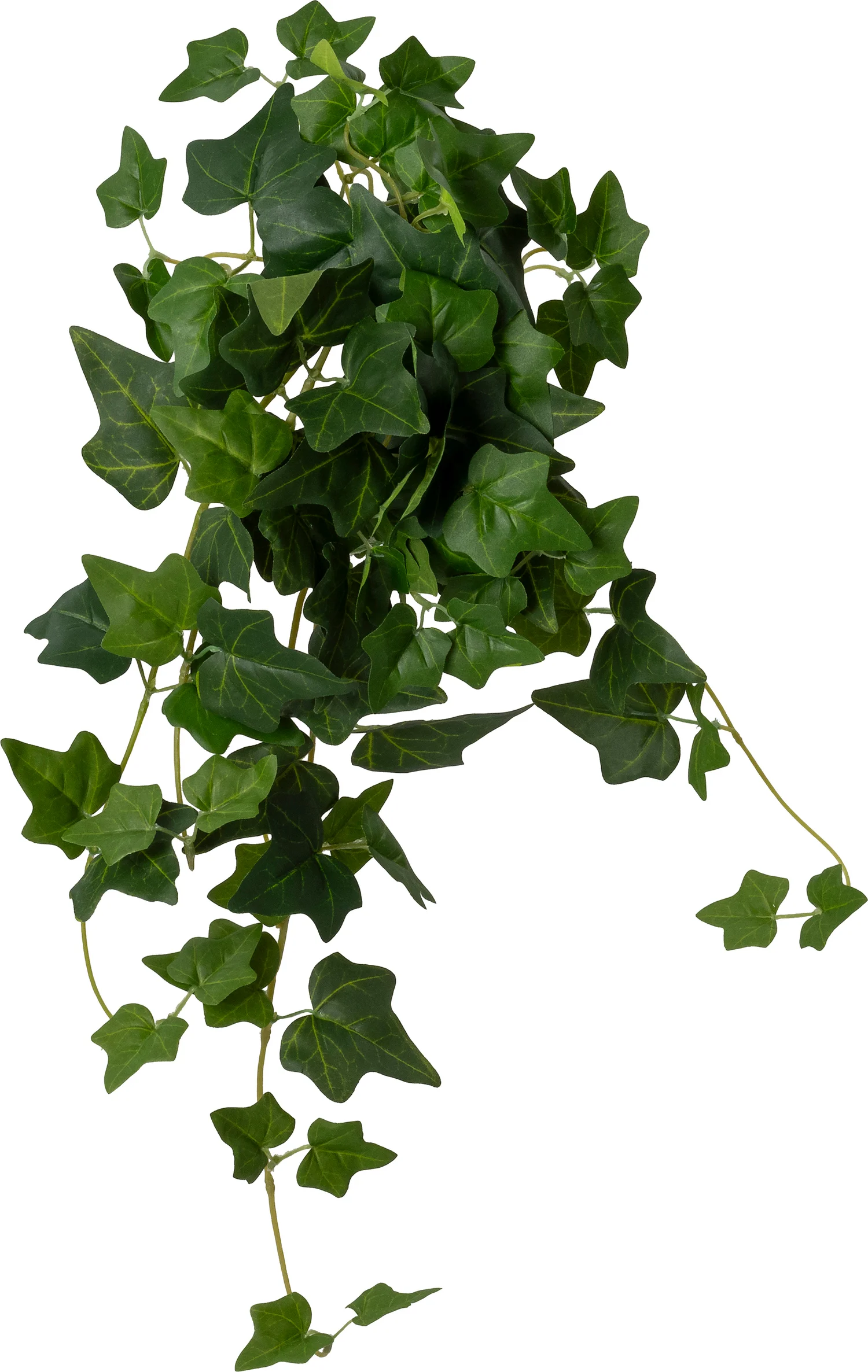 Intratuin kunsthangplant Klimop groen 10 x 22 x 60 cm