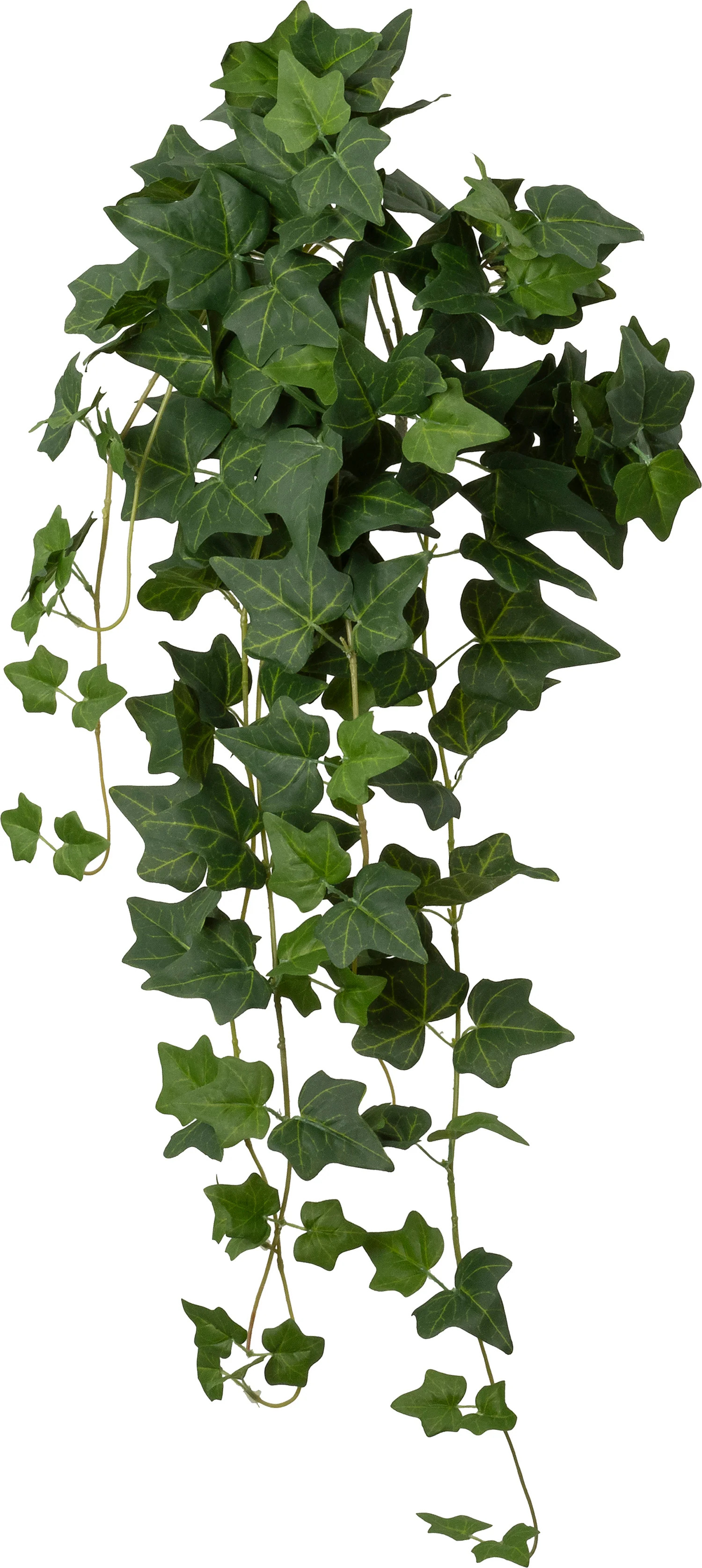 Intratuin kunsthangplant Klimop groen 15 x 30 x 90 cm