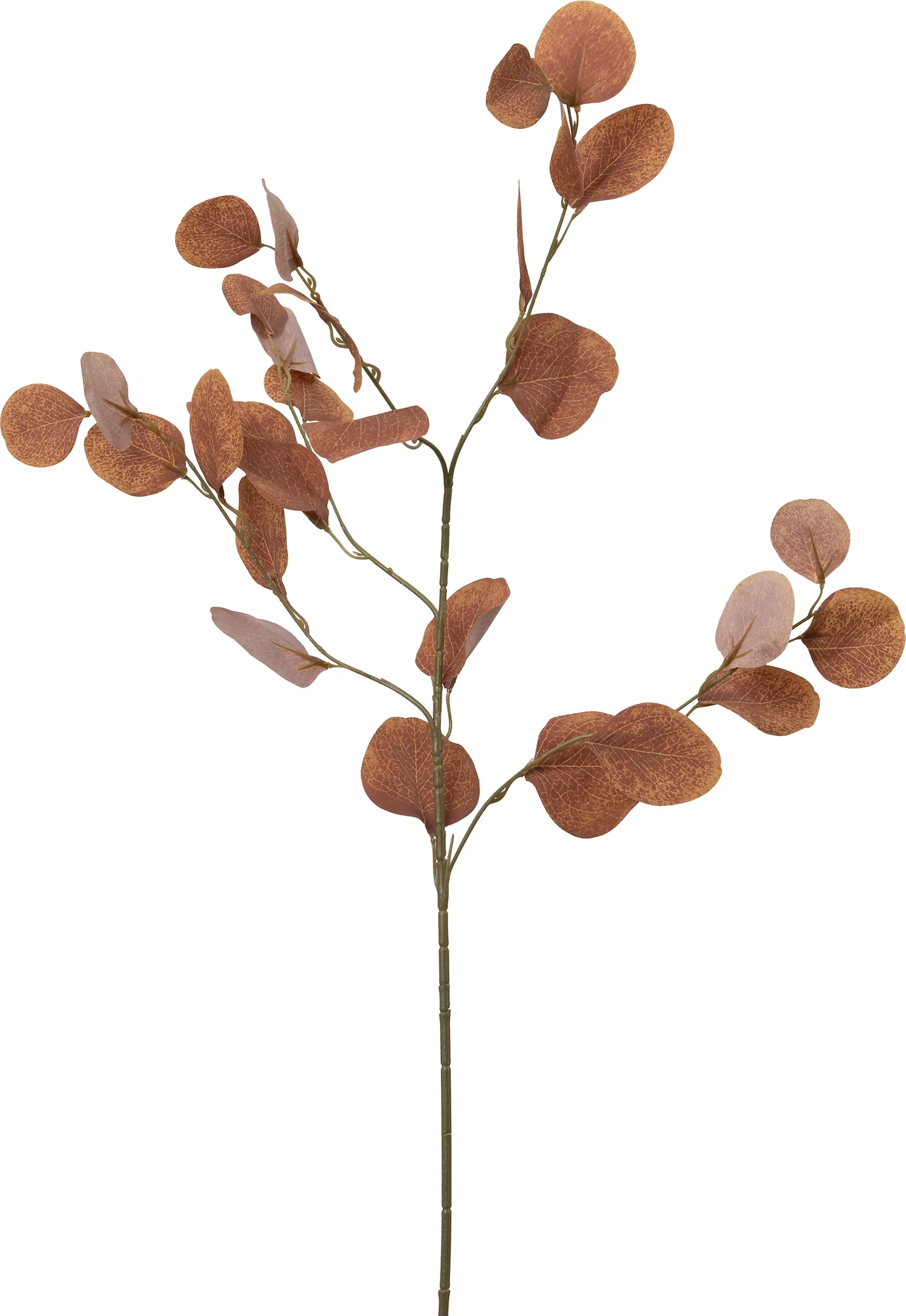 Intratuin kunsttak Eucalyptus oranje 90 cm