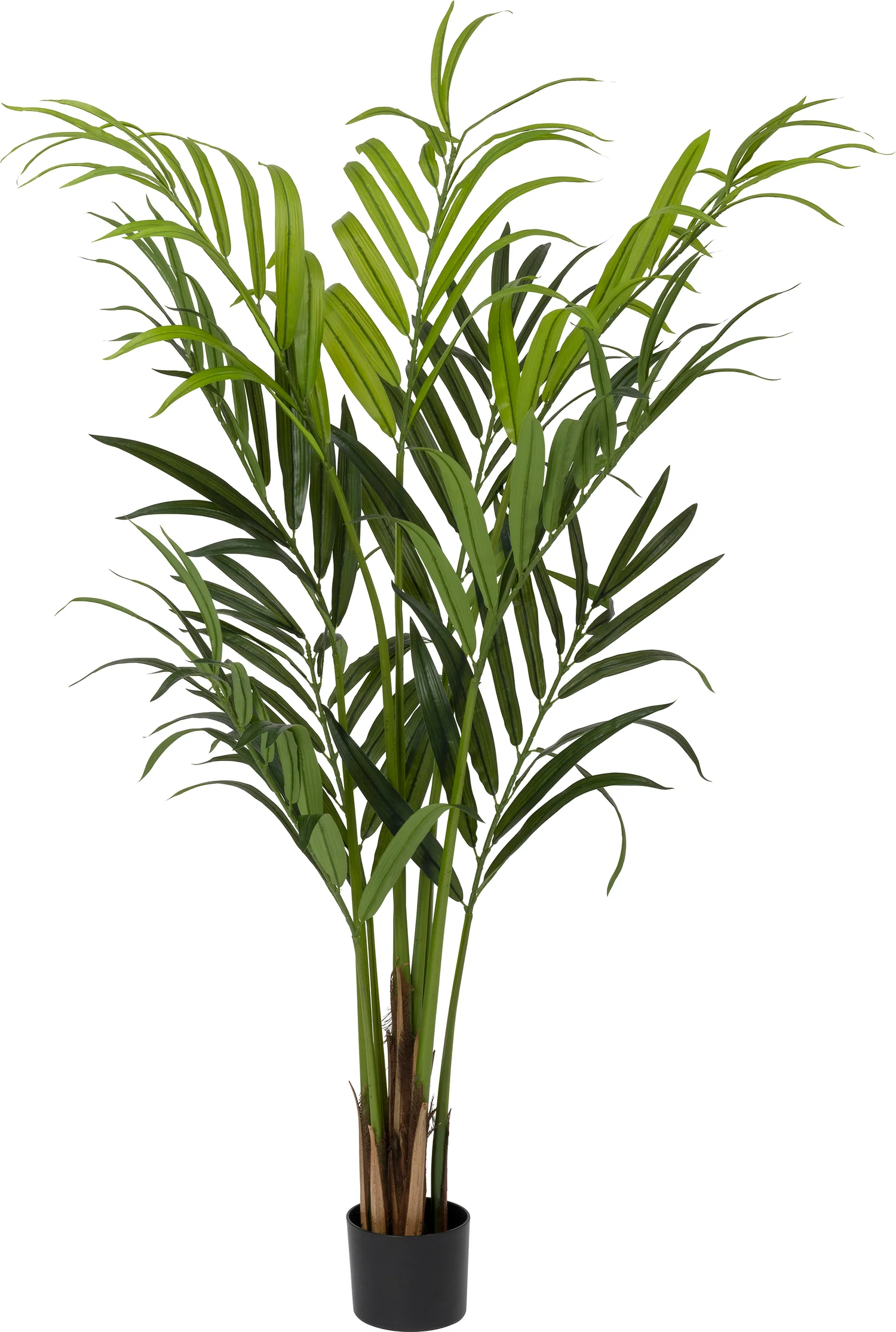 Intratuin kunstplant Kentiapalm D 15.5 x H 160 cm