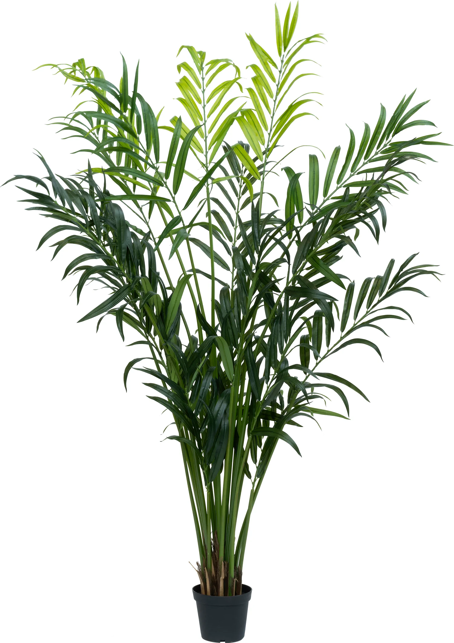 Intratuin kunstplant Kentiapalm groen 100 x 90 x 250 cm