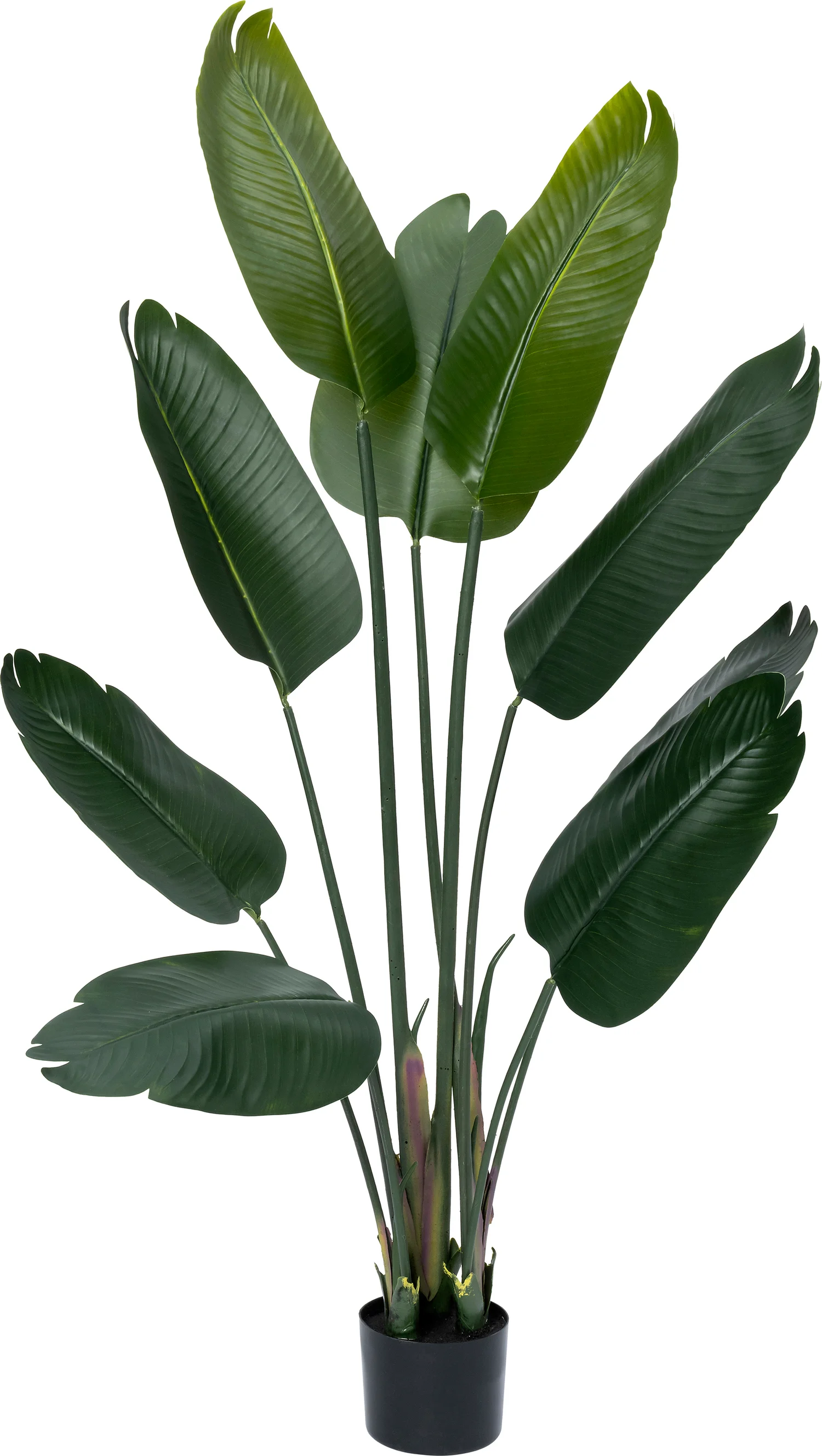 Intratuin kunstplant Strelitzia D 80 H 140 cm