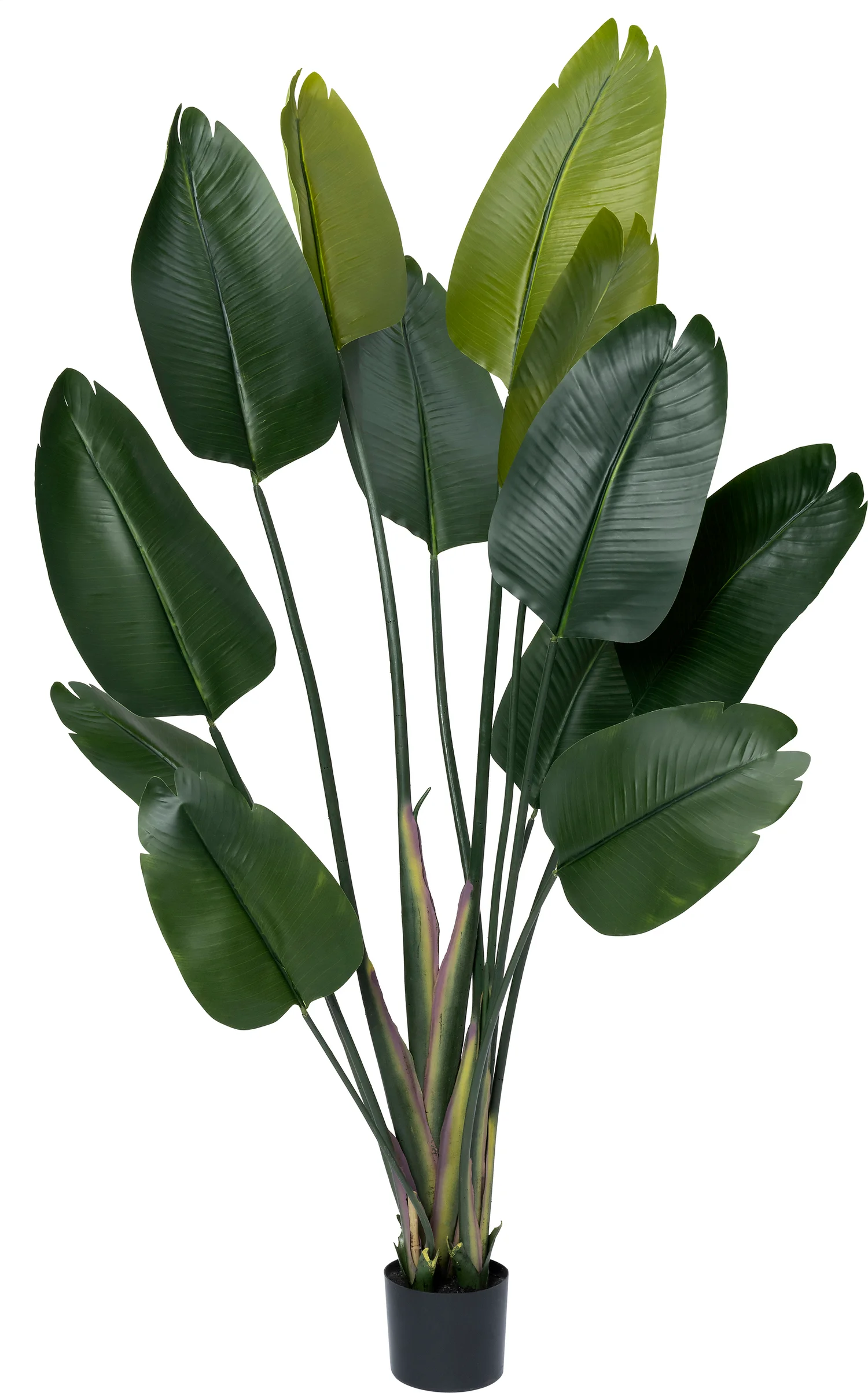 Intratuin kunstplant Strelitzia D 80 H 180 cm