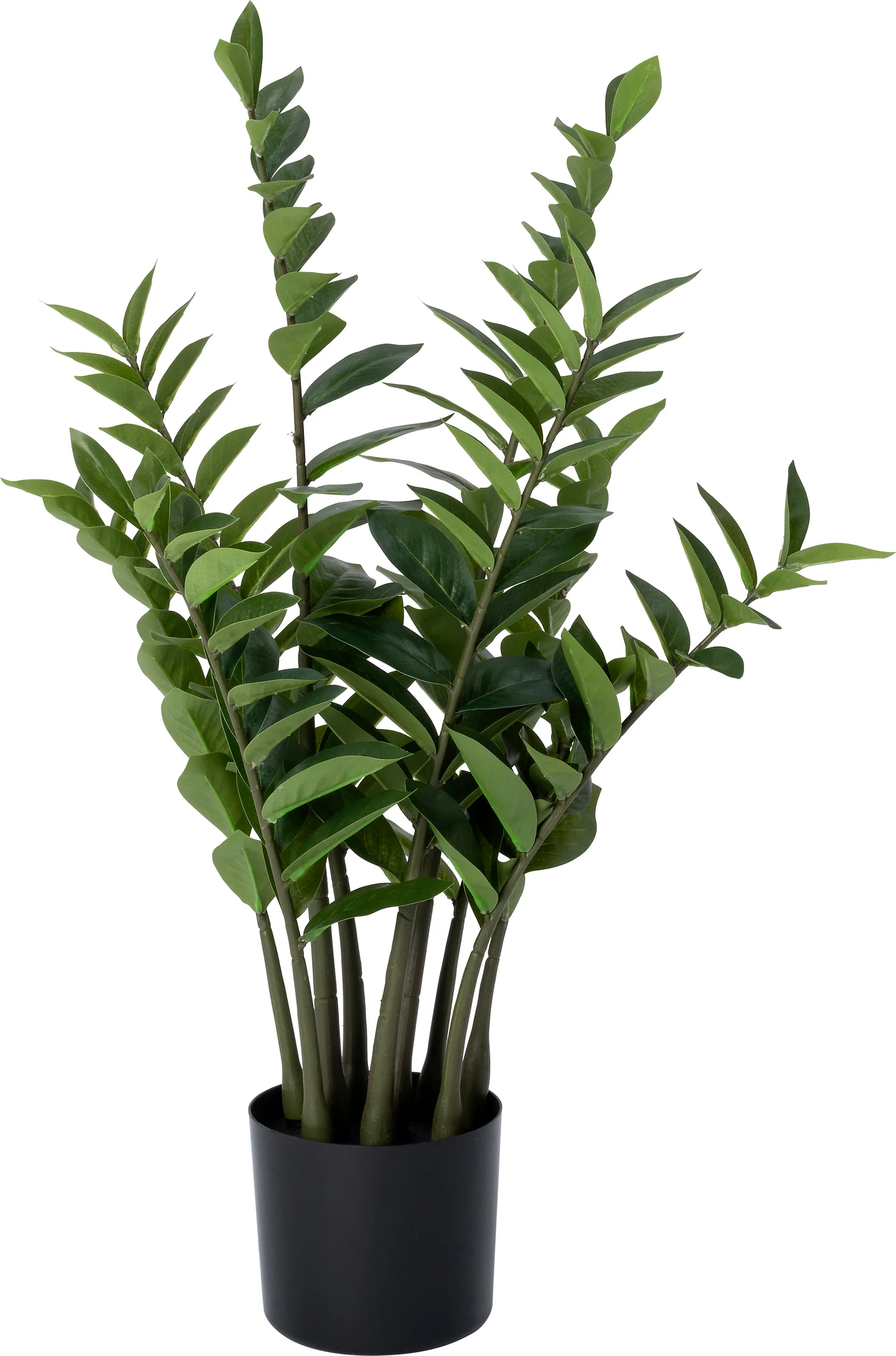Intratuin kunstplant Zamioculcas D 52 H 88 cm
